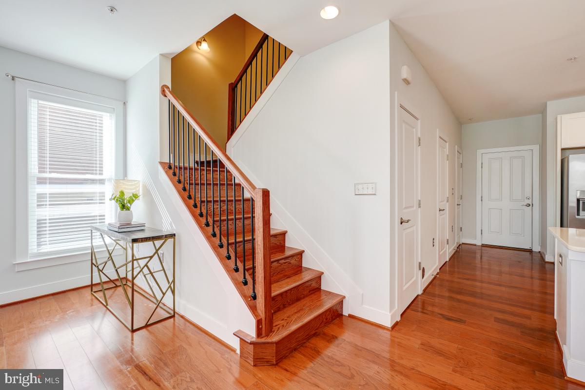 738 McKenzie Avenue Alexandria, VA 22301 - Photo 14 of 33