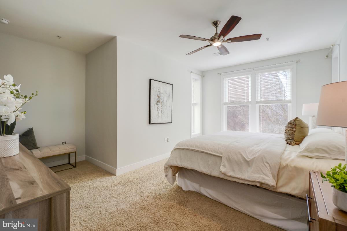 738 McKenzie Avenue Alexandria, VA 22301 - Photo 21 of 33