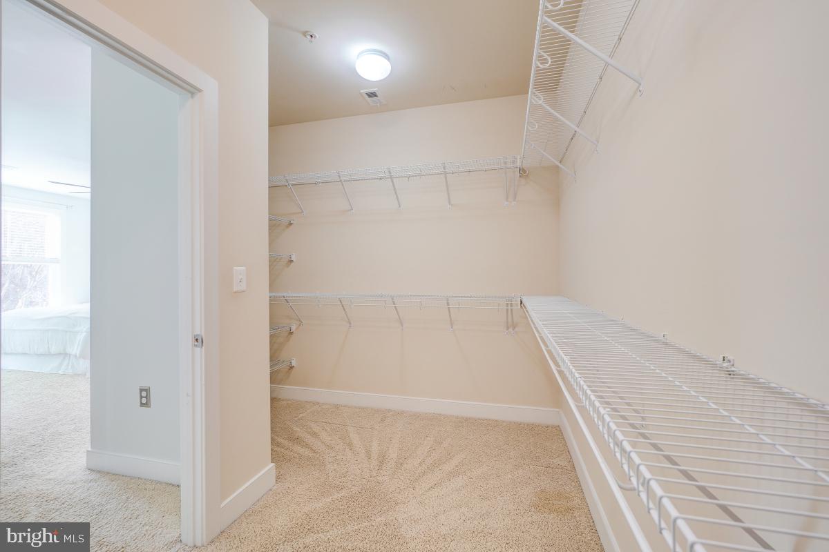 738 McKenzie Avenue Alexandria, VA 22301 - Photo 23 of 33 Large walk in closet