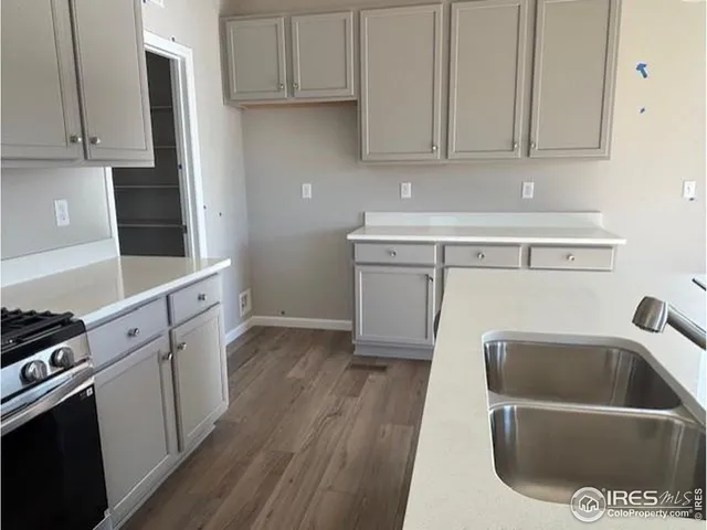 a kitchen with a sink cabinets and stainless steel appliances