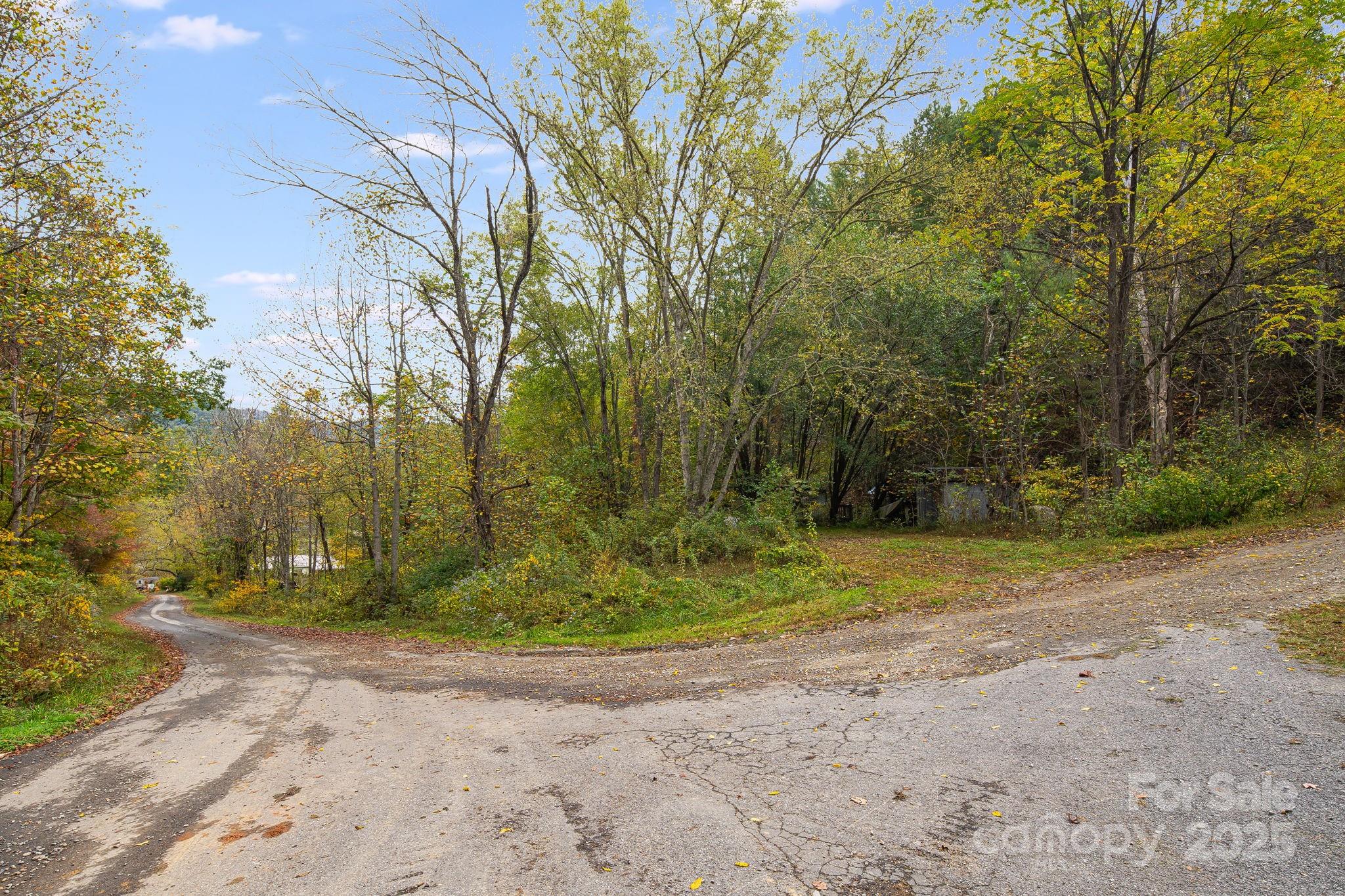 211 Evergreen Road Burnsville, NC 28714 - Photo 5 of 16