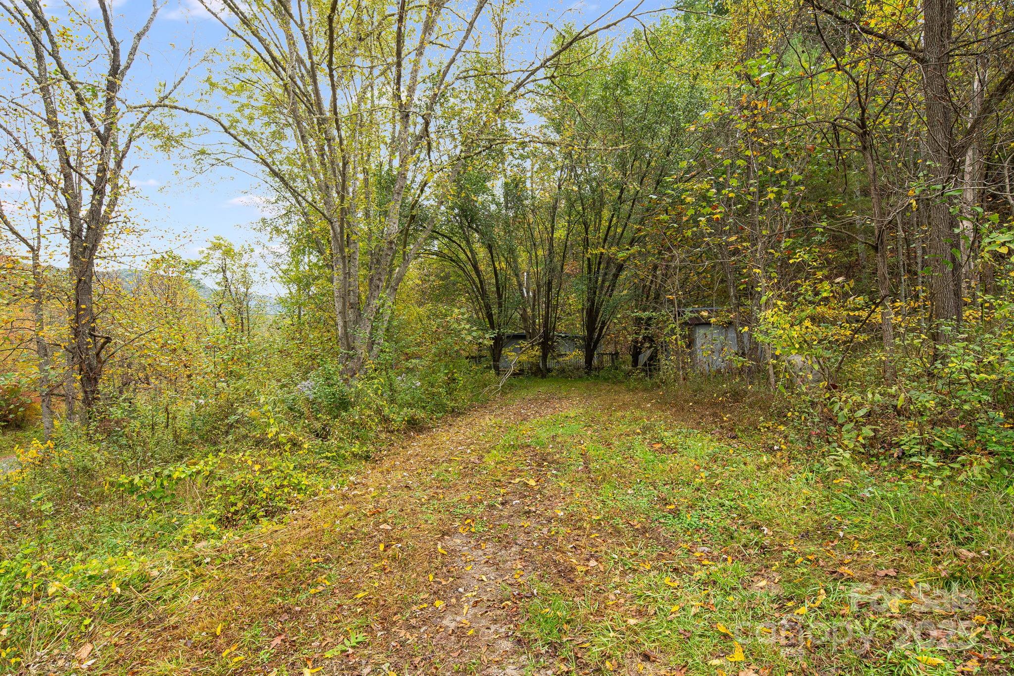 211 Evergreen Road Burnsville, NC 28714 - Photo 6 of 16