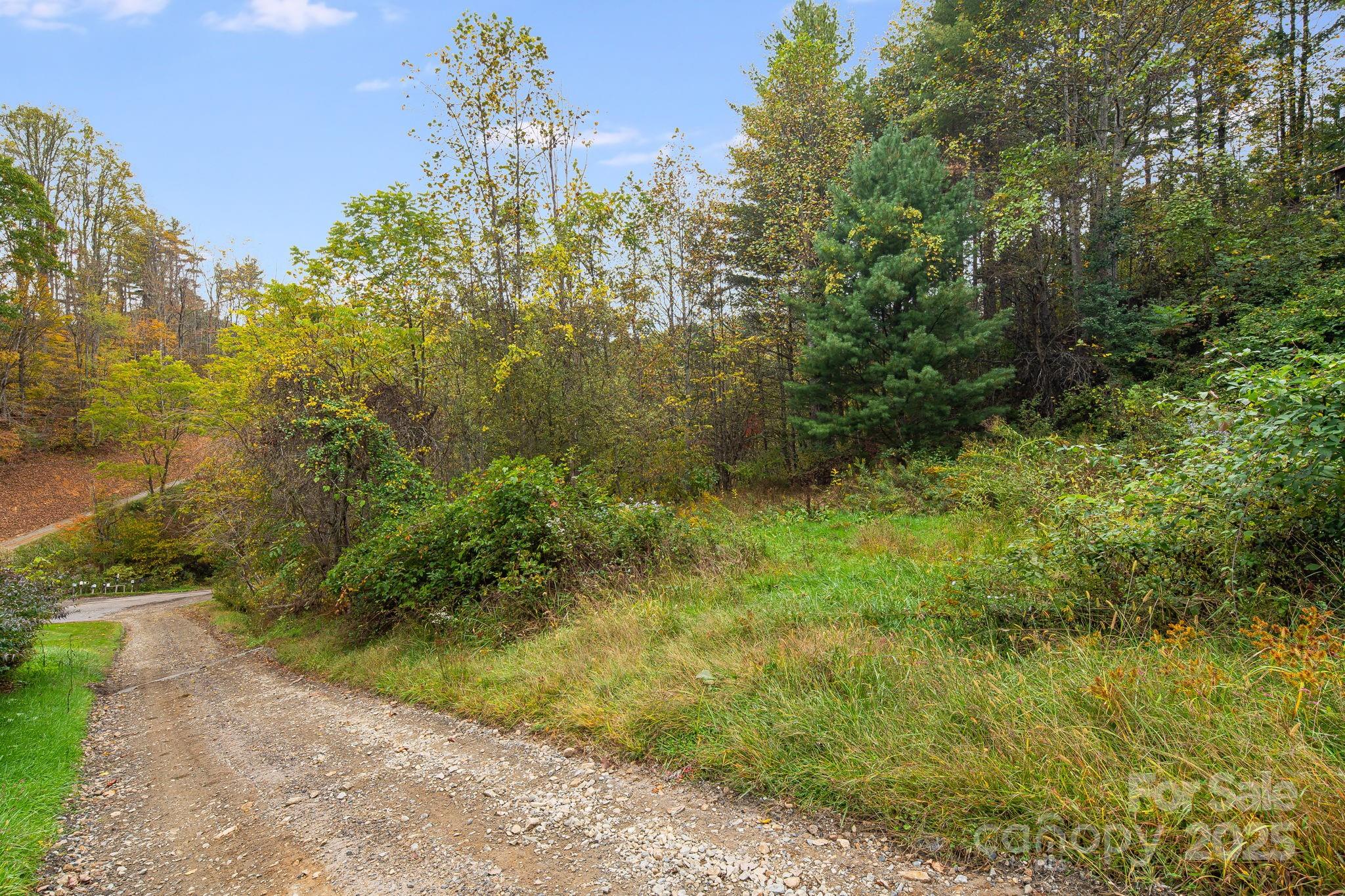 211 Evergreen Road Burnsville, NC 28714 - Photo 7 of 16