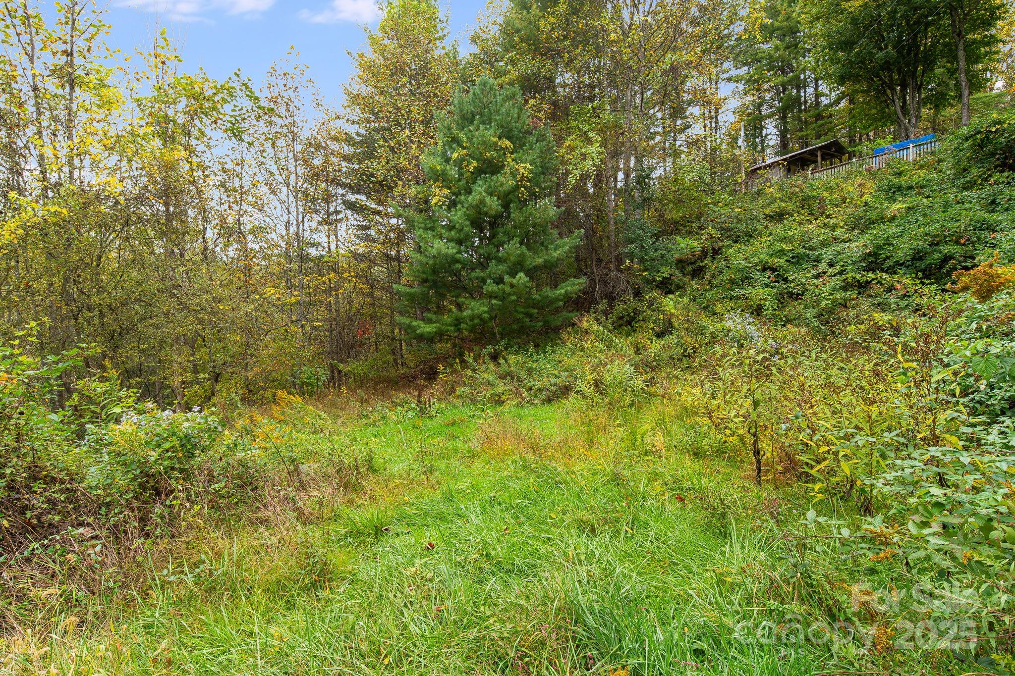 211 Evergreen Road Burnsville, NC 28714 - Photo 8 of 16