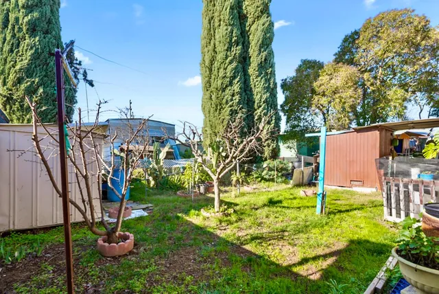 a backyard of a house with lots of green space