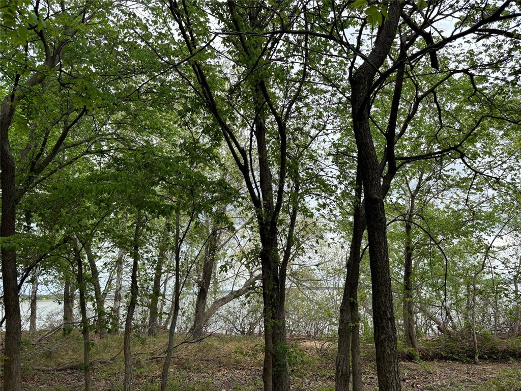 151-161 Aspen Road Shady Shores, TX 76208 - Photo 14 of 28