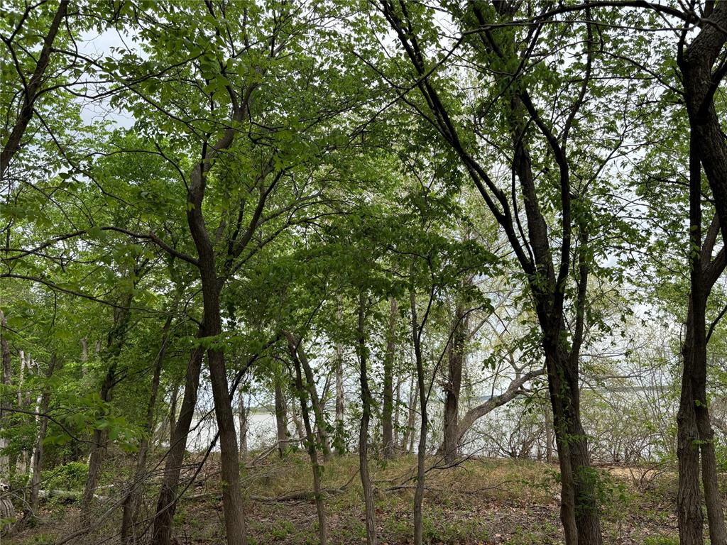 151-161 Aspen Road Shady Shores, TX 76208 - Photo 15 of 28