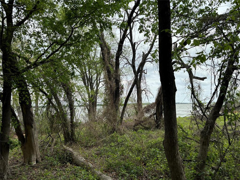 151-161 Aspen Road Shady Shores, TX 76208 - Photo 16 of 28