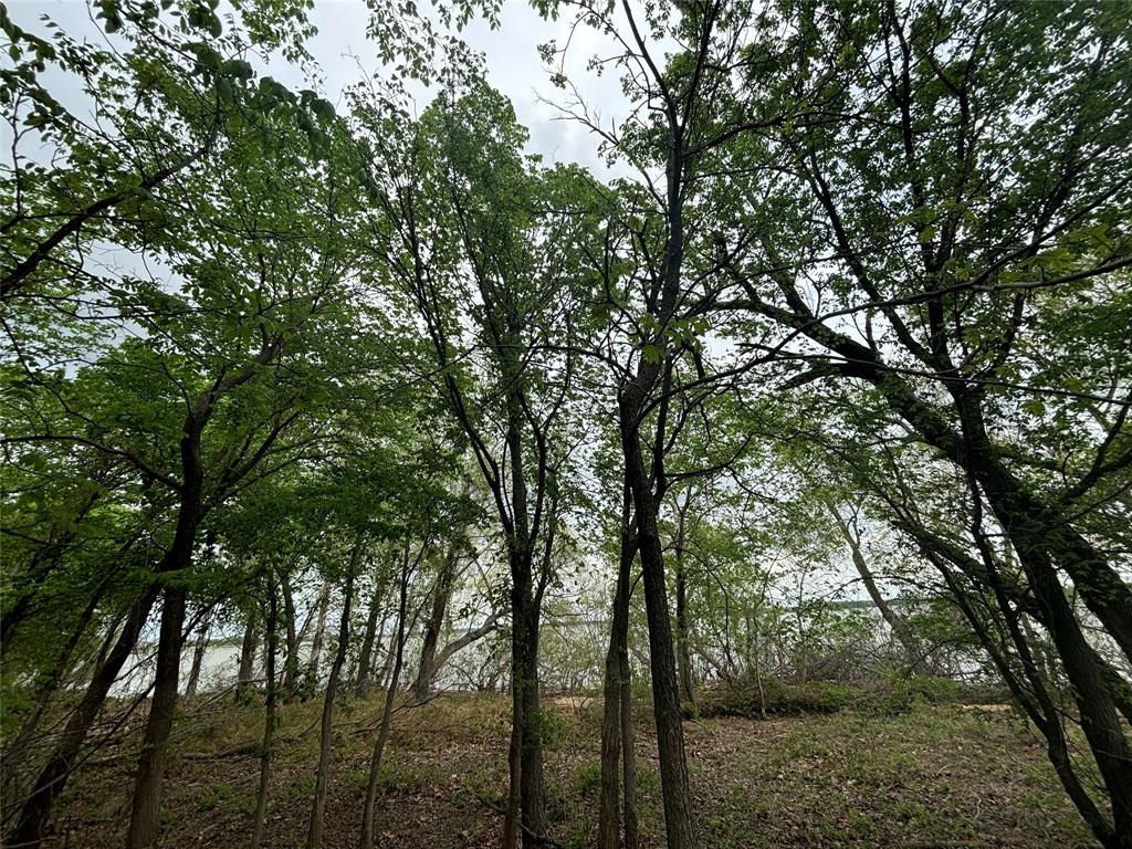 151-161 Aspen Road Shady Shores, TX 76208 - Photo 18 of 28