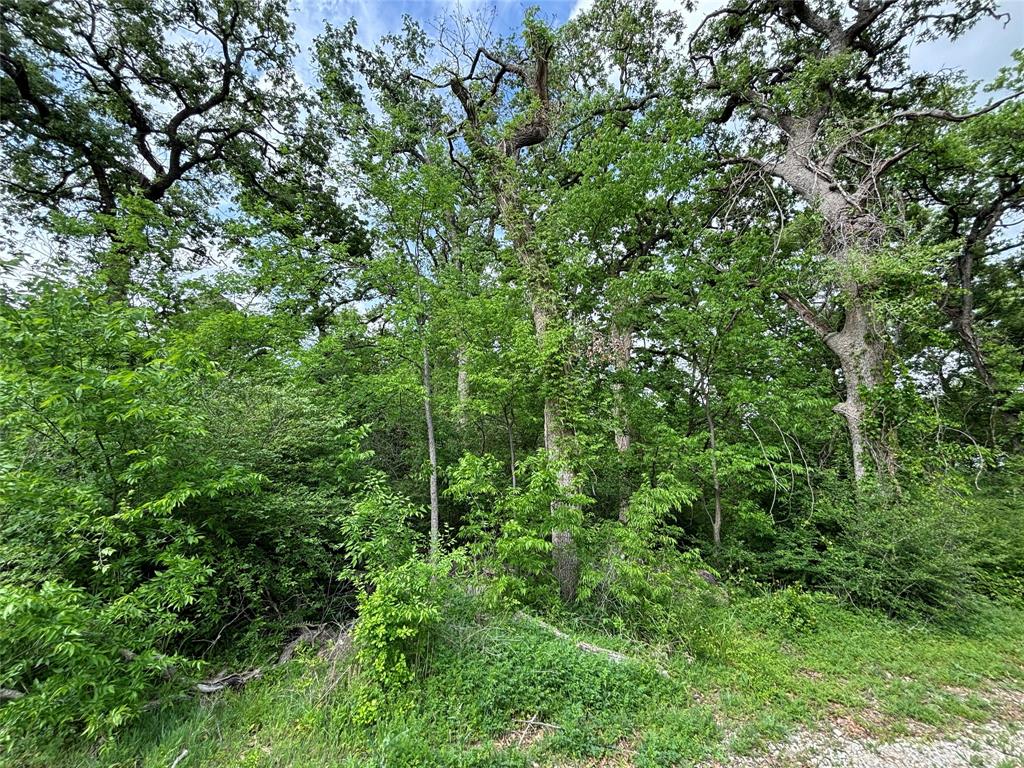 151-161 Aspen Road Shady Shores, TX 76208 - Photo 28 of 28