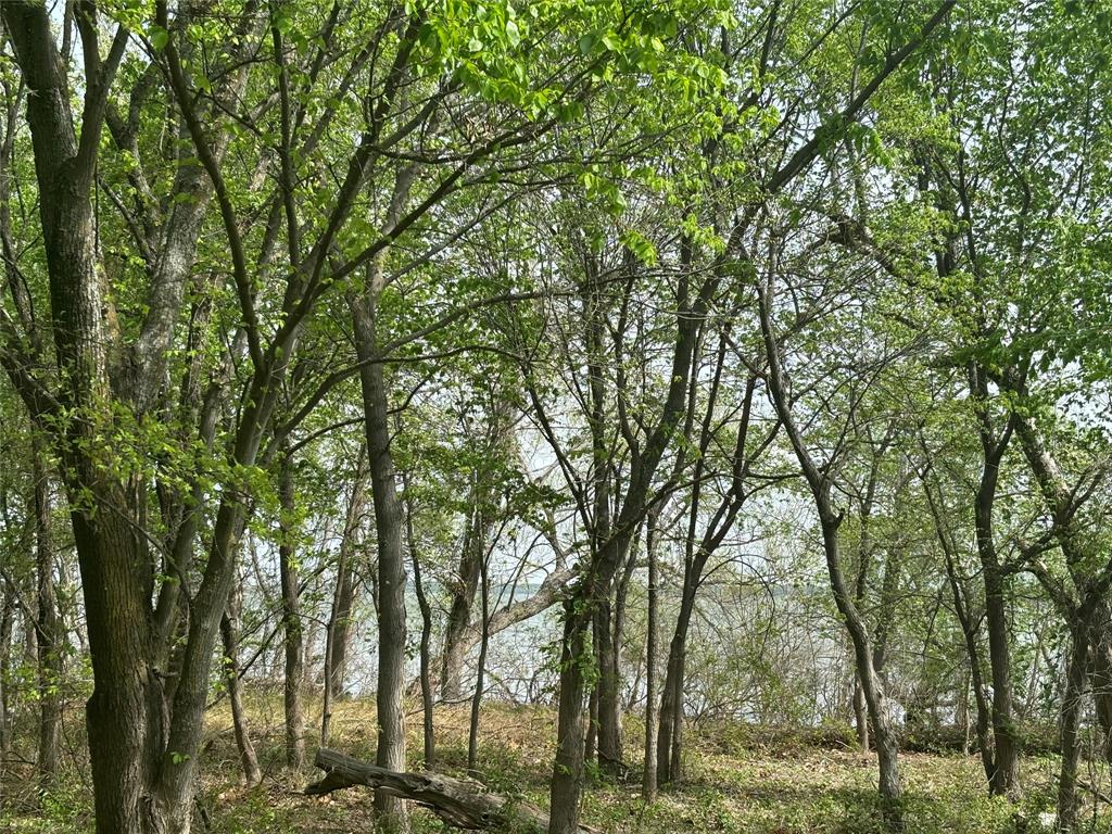 151-161 Aspen Road Shady Shores, TX 76208 - Photo 3 of 28 Beautiful corps frontage right behind lot.