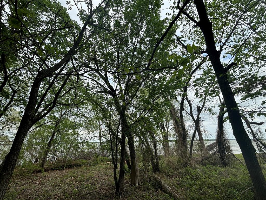 151-161 Aspen Road Shady Shores, TX 76208 - Photo 4 of 28 Beautiful corps frontage right behind lot.