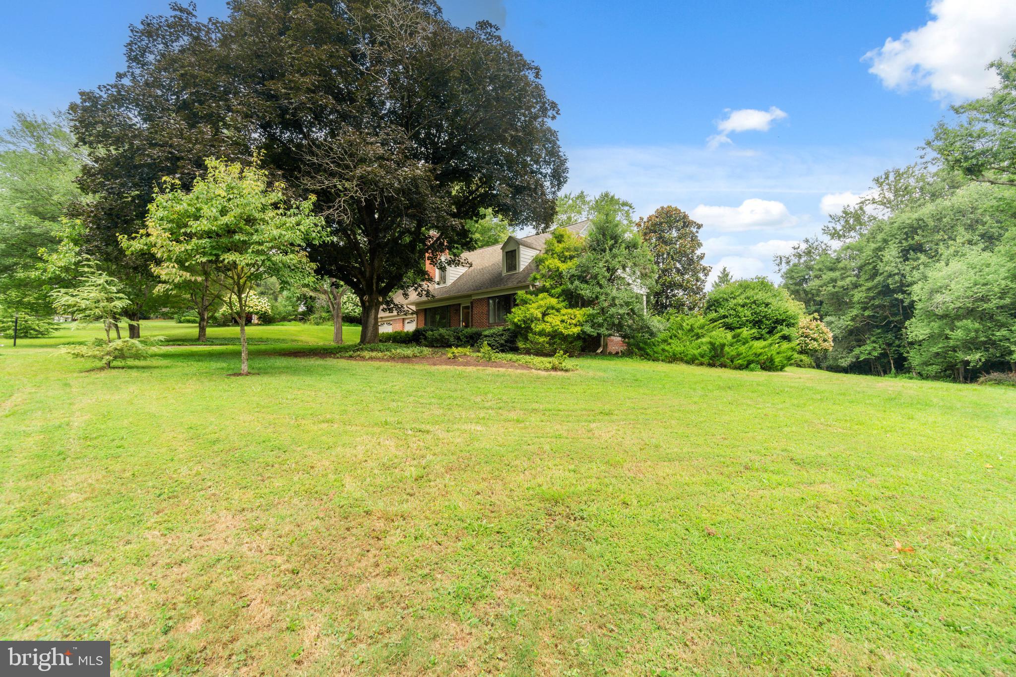 14612 Fairacres Road Silver Spring, MD 20905 - Photo 43 of 53 a view of yard with swimming pool and green space