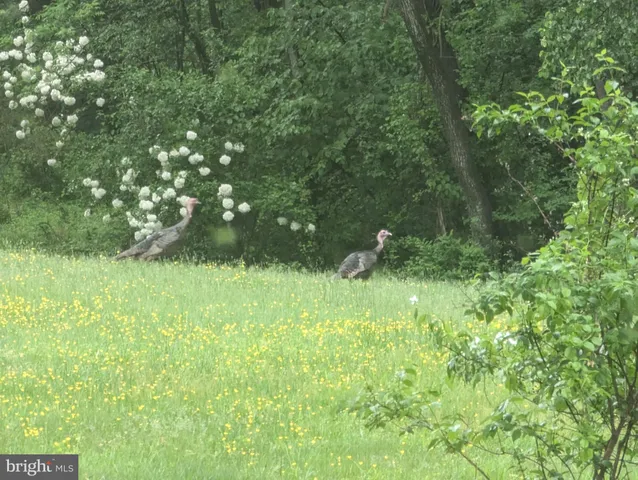 $895,000 | 14612 Fairacres Road, Silver Spring, MD 20905