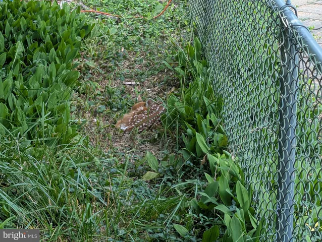 $895,000 | 14612 Fairacres Road, Silver Spring, MD 20905