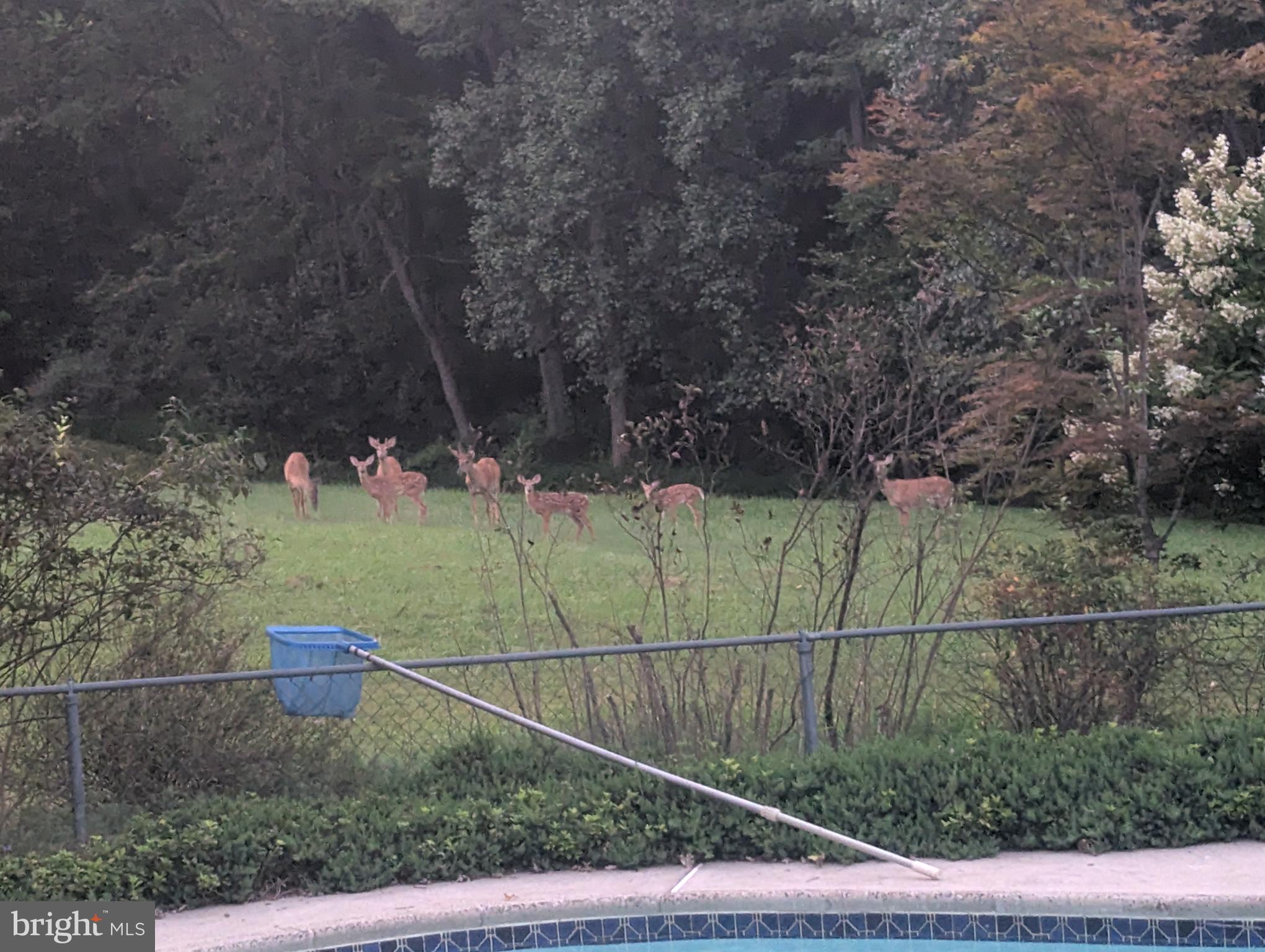 14612 Fairacres Road Silver Spring, MD 20905 - Photo 53 of 53 a view of a tennis court