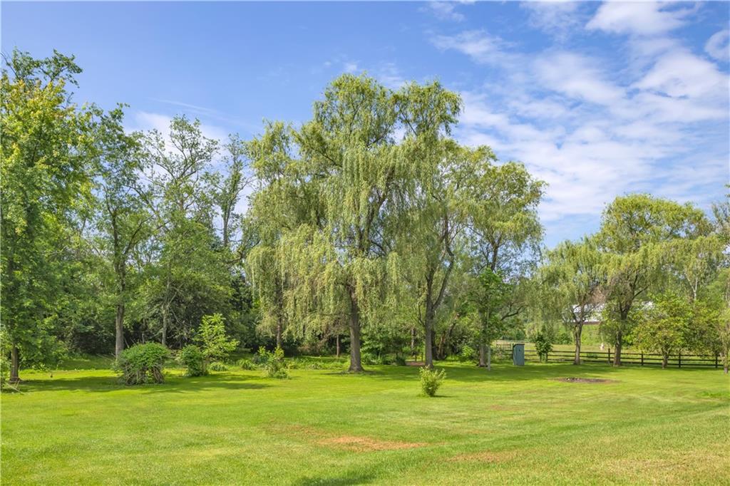 206 Brook Hollow Road Mount Pleasant, PA 15666 - Photo 8 of 41 a garden with trees in the background