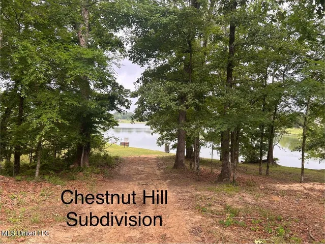 $130,000 | Chestnut Hill, Flora, MS 39071