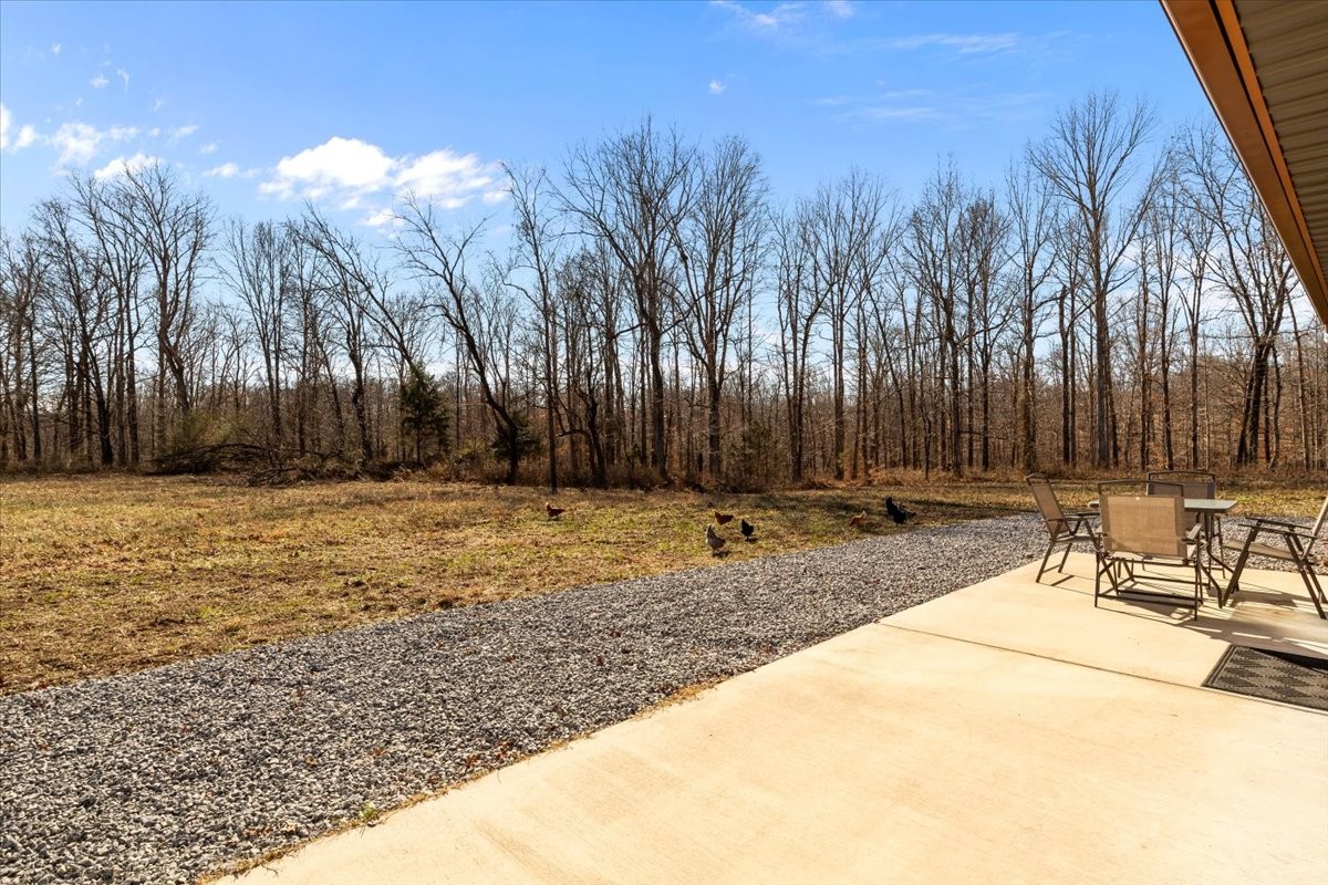 119 Howard Road White Bluff, TN 37187 - Photo 30 of 36