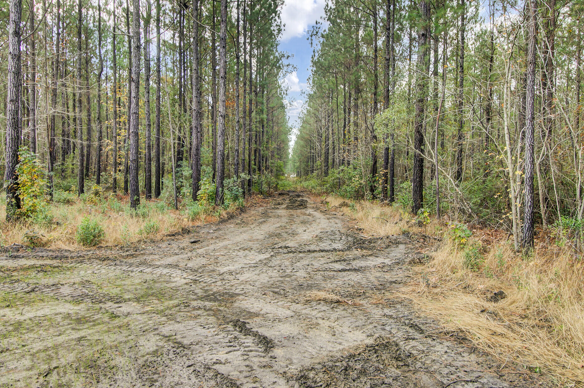 2600 County Line Road Cross, SC 29436 - Photo 54 of 55 55_55_mls