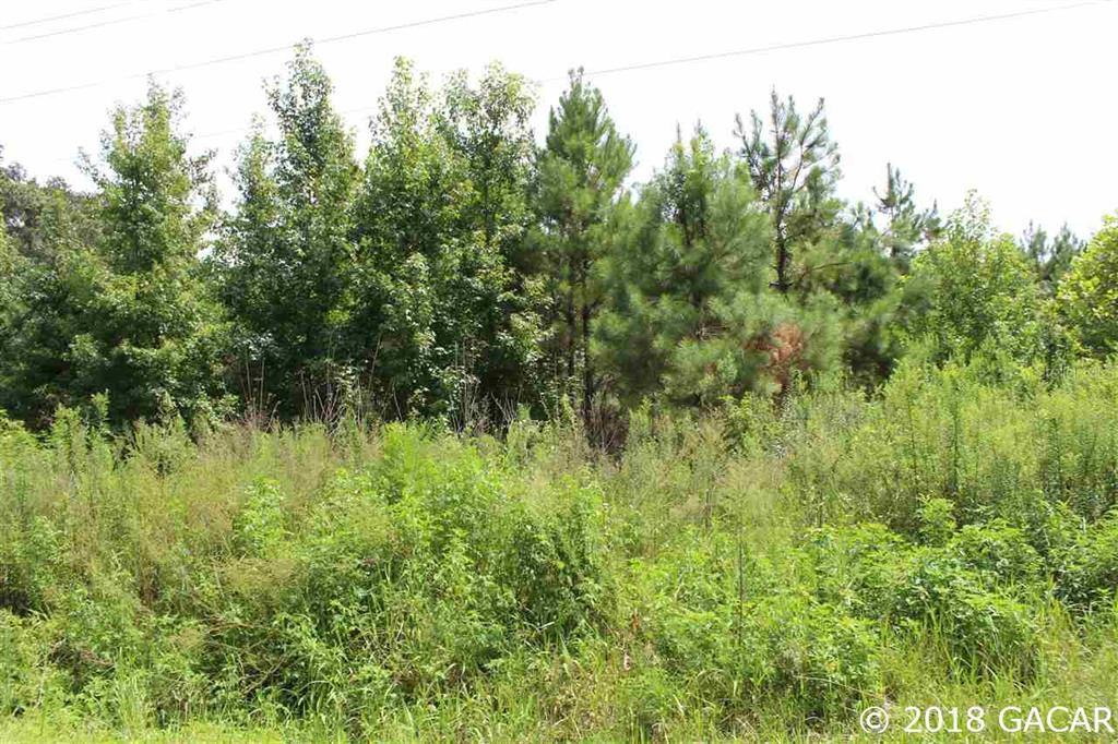 0 Southwest Sw Cr Lake Butler, FL 32054 - Photo 1 of 1