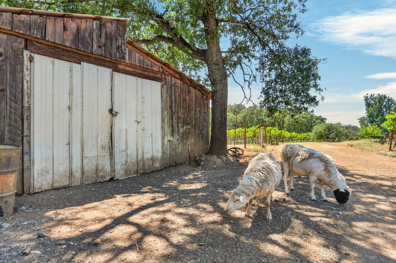 2402 Deer Valley Road Rescue, CA 95672 - Photo 53 of 88