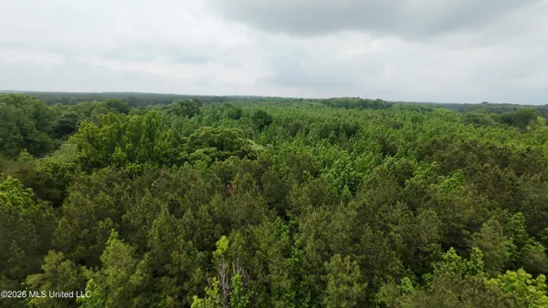 $79,900 | 6936 Hillsboro-Ludlow Road, Forest, MS 39074