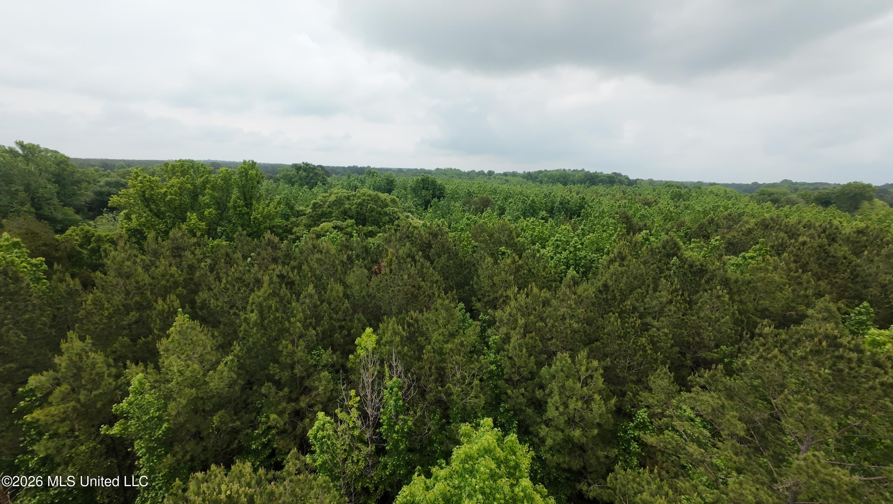 6936 Hillsboro-Ludlow Road Forest, MS 39074 - Photo 14 of 22 DJI_20260429131232_0140_D