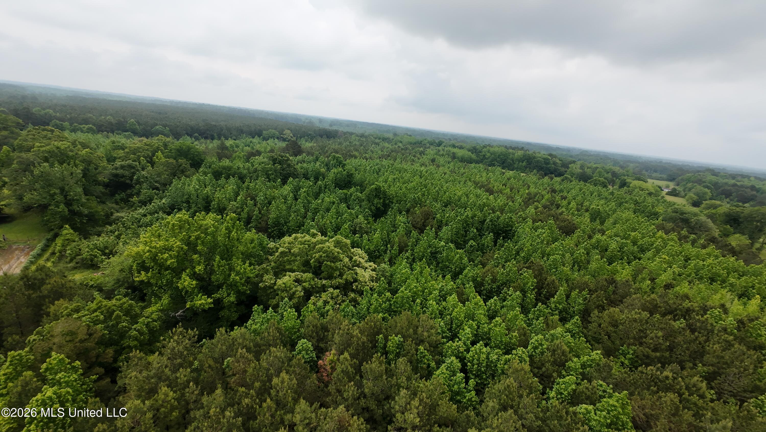 6936 Hillsboro-Ludlow Road Forest, MS 39074 - Photo 16 of 22 DJI_20260429131259_0143_D