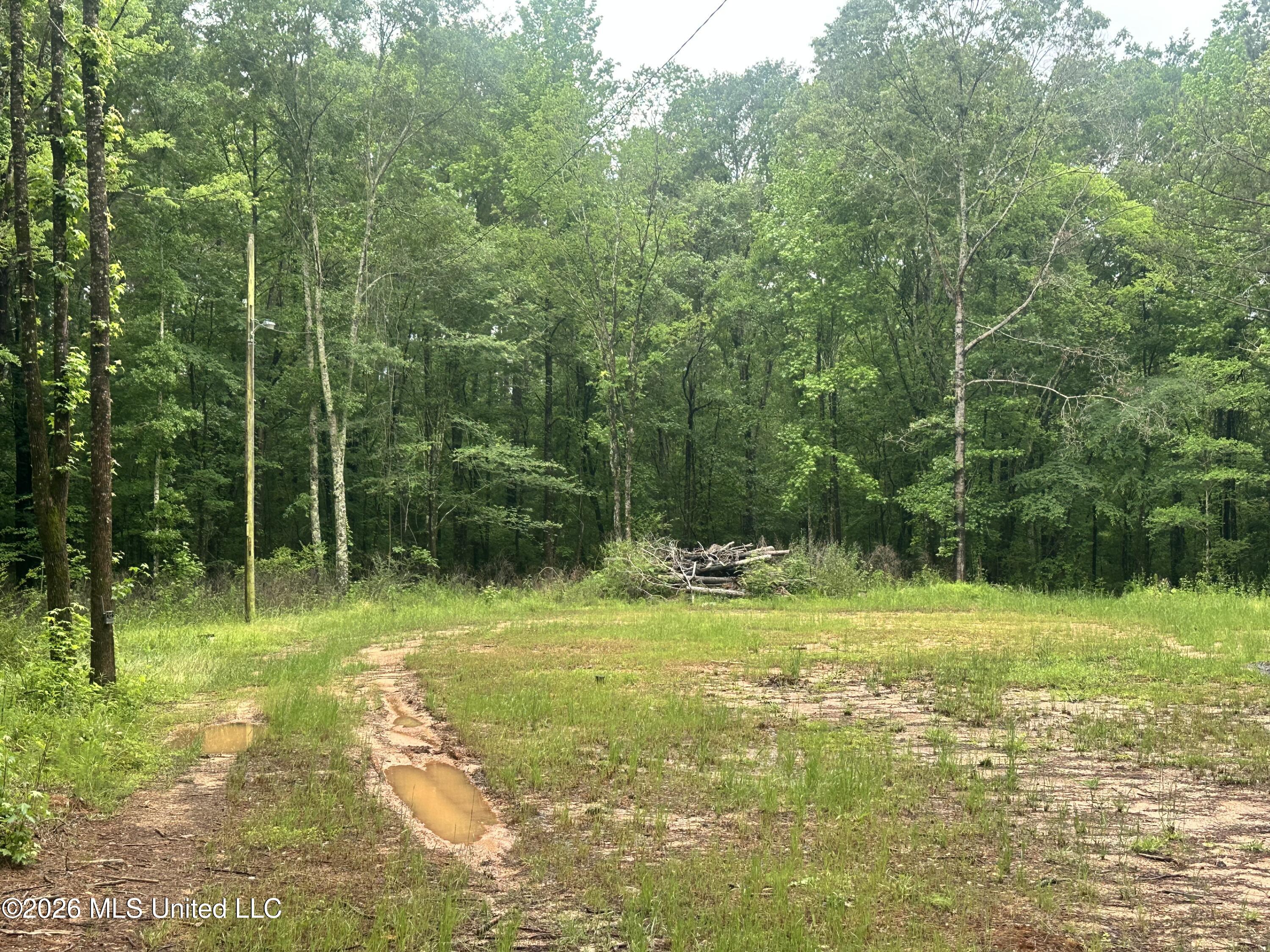 6936 Hillsboro-Ludlow Road Forest, MS 39074 - Photo 19 of 22 IMG_6499