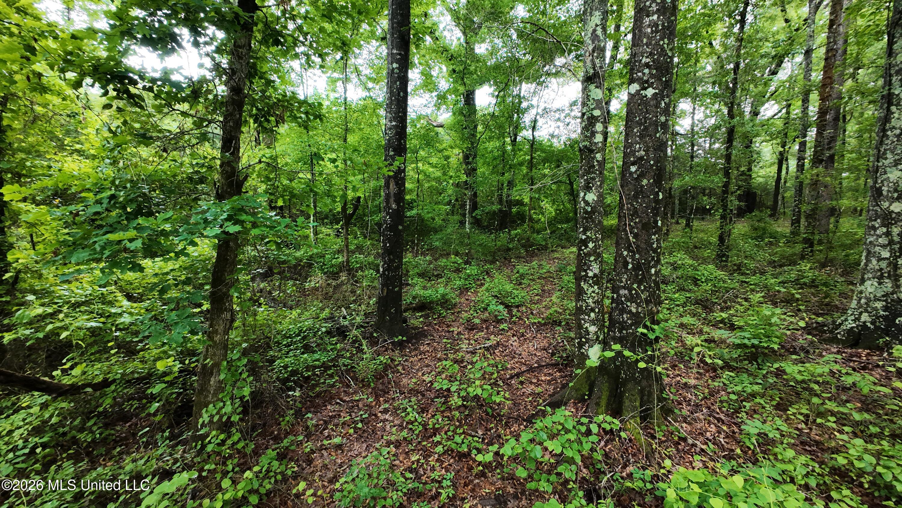 6936 Hillsboro-Ludlow Road Forest, MS 39074 - Photo 2 of 22 DJI_20260429130523_0127_D