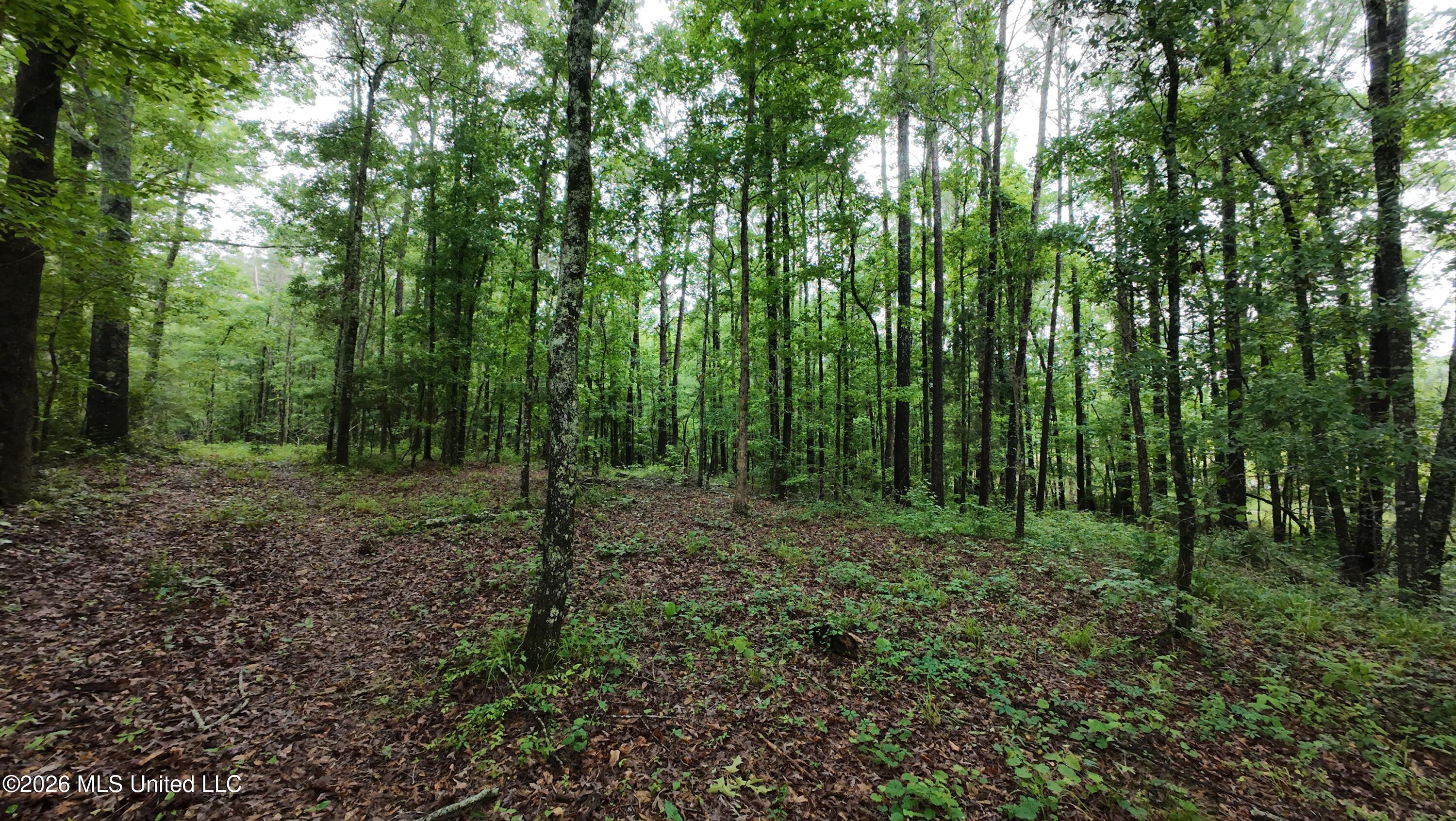 6936 Hillsboro-Ludlow Road Forest, MS 39074 - Photo 3 of 22 DJI_20260429130550_0128_D