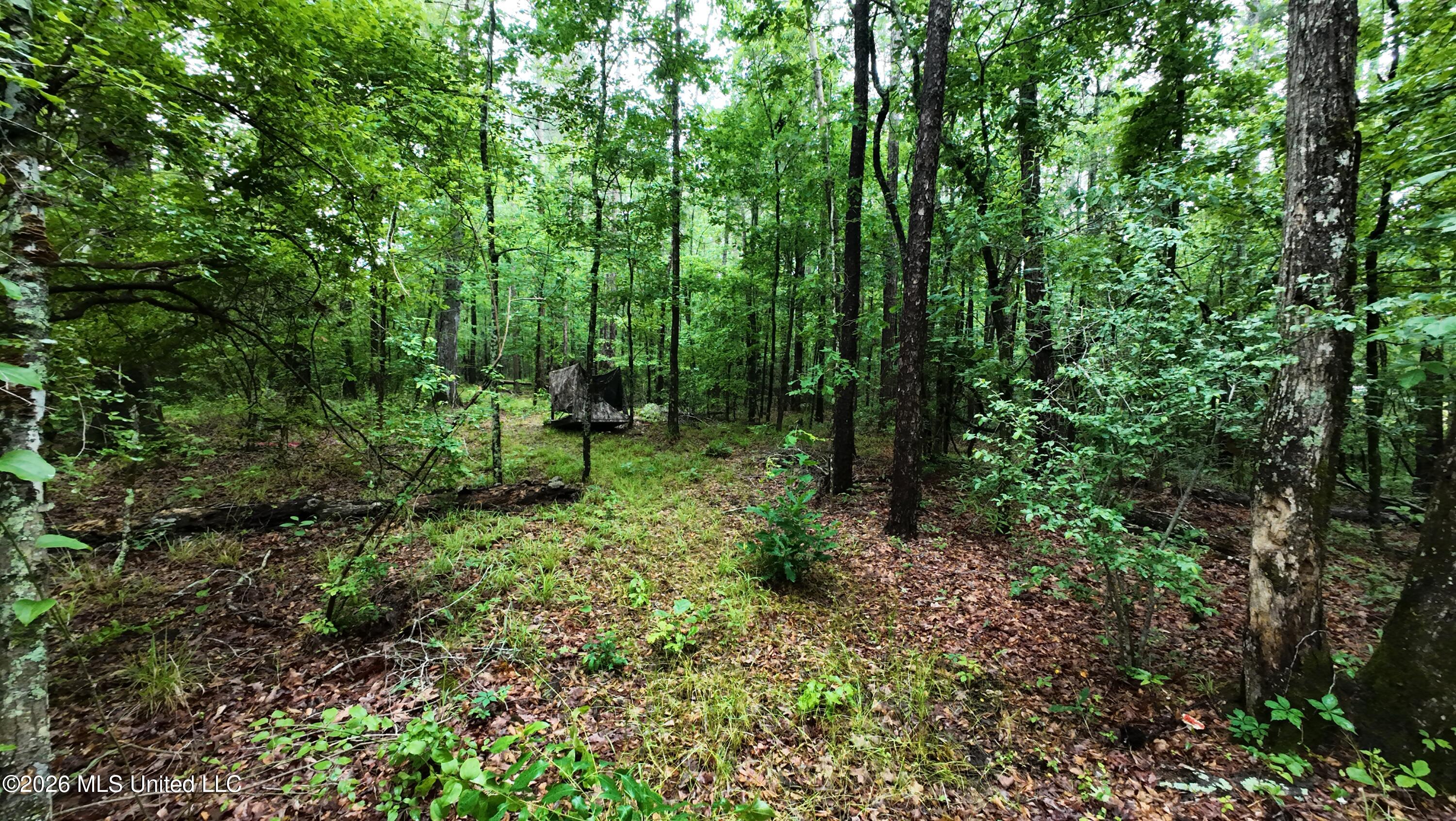 6936 Hillsboro-Ludlow Road Forest, MS 39074 - Photo 5 of 22 DJI_20260429130620_0130_D
