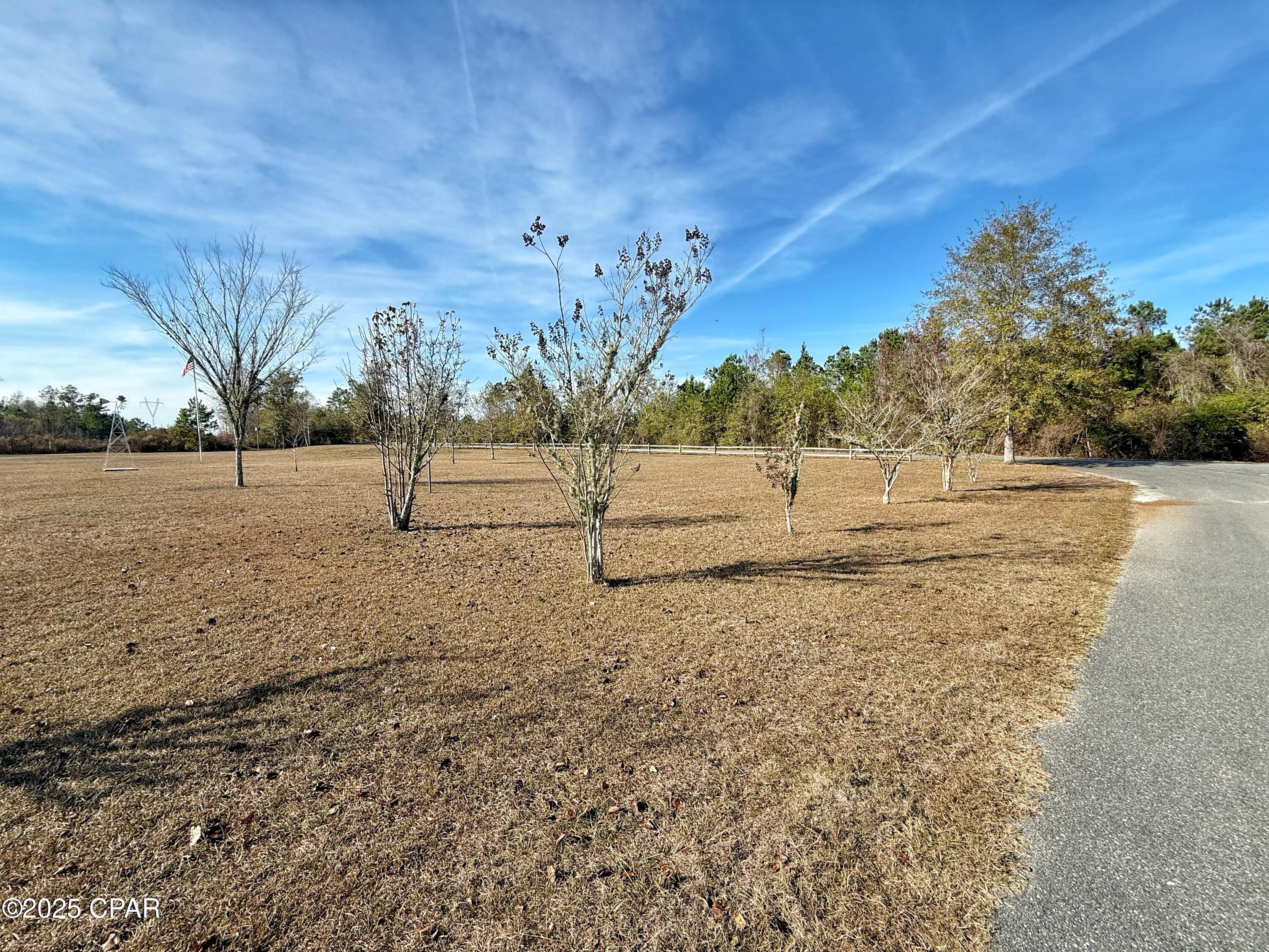 21382 Northwest Paradise Lane Altha, FL 32421 - Photo 46 of 47