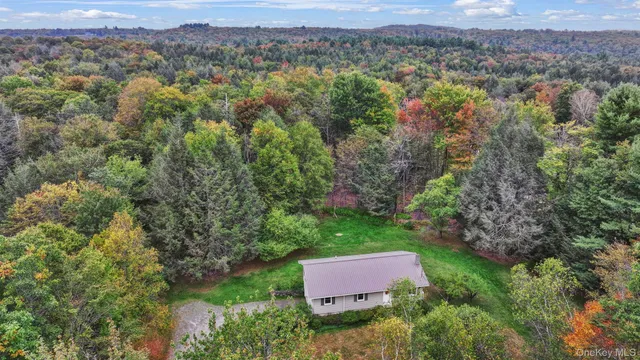 a view of a yard in front of a house with a yard