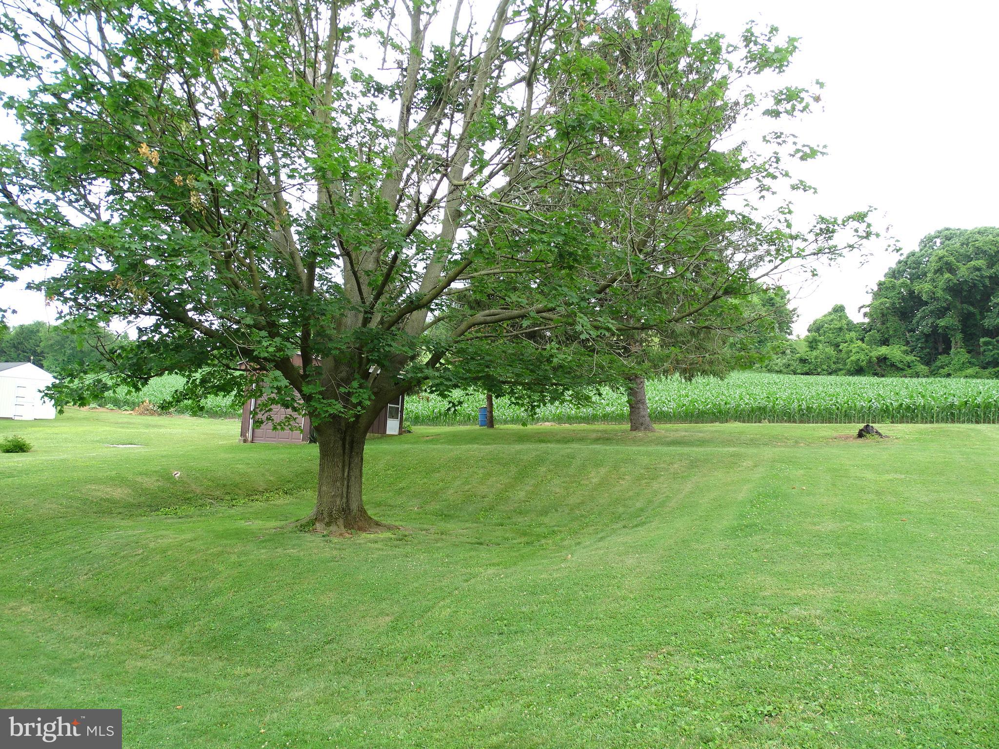 175 West Hanover Street Spring Grove, PA 17362 - Photo 8 of 42