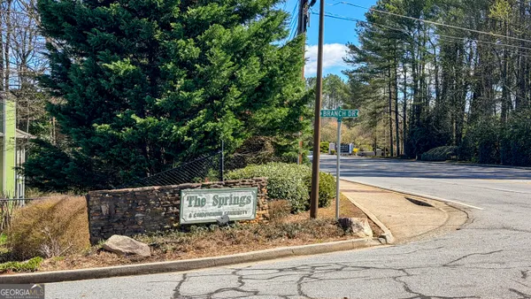 a view of a backyard with plants and large trees