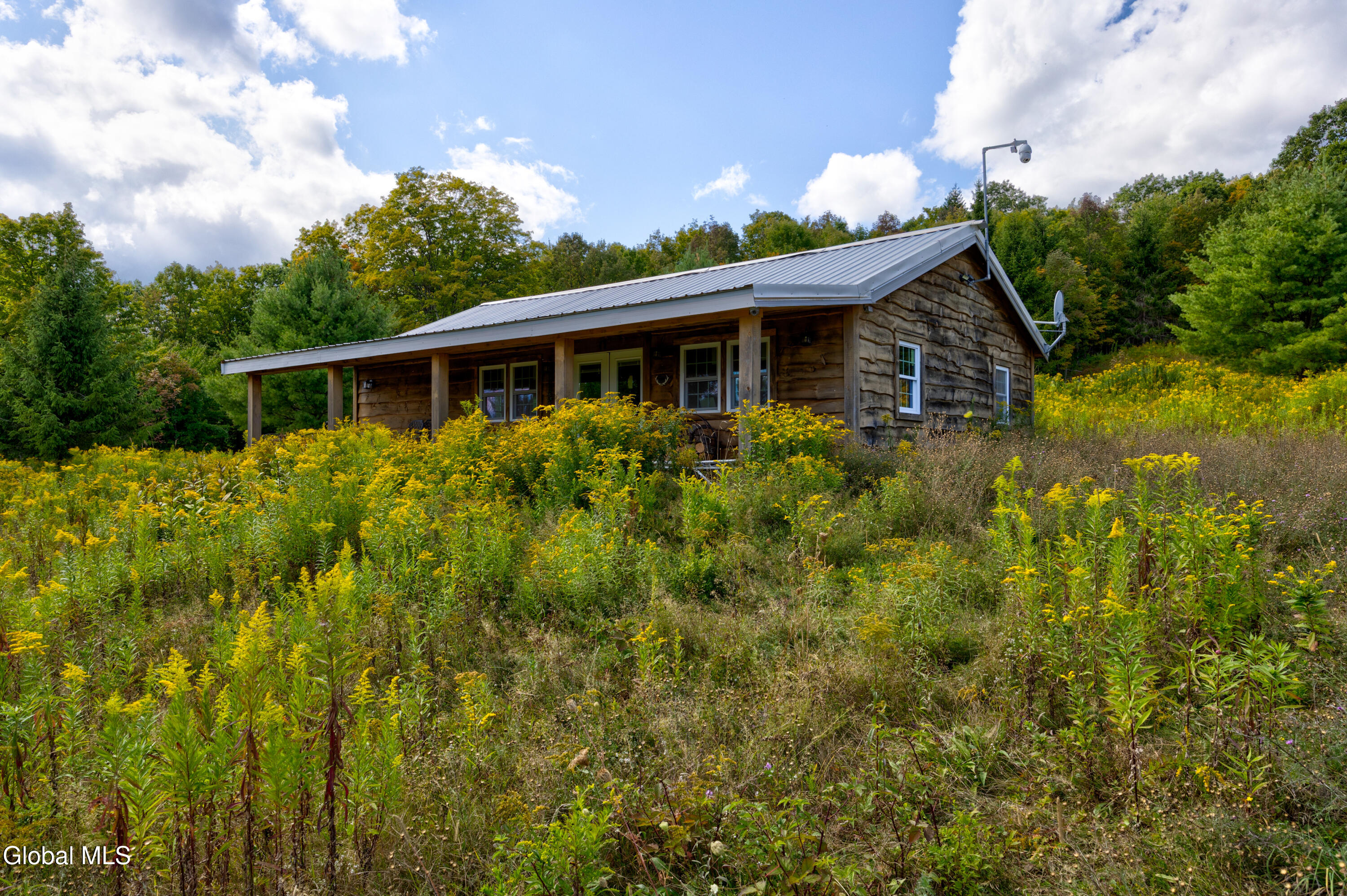 823 Cheese Hill Road Rensselaerville, NY 12469 - Photo 2 of 44 1 (4)