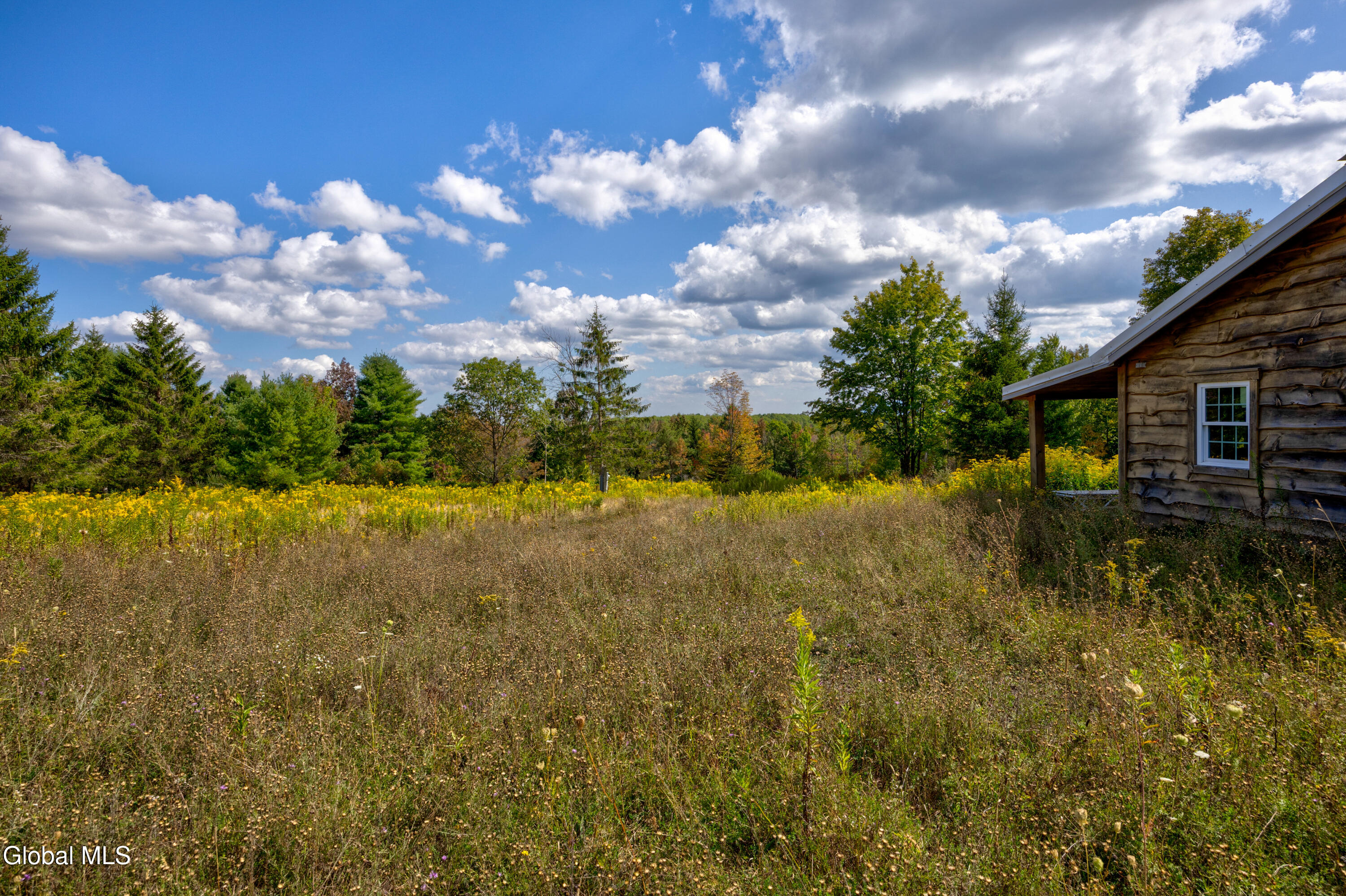 823 Cheese Hill Road Rensselaerville, NY 12469 - Photo 23 of 44 1 (25)