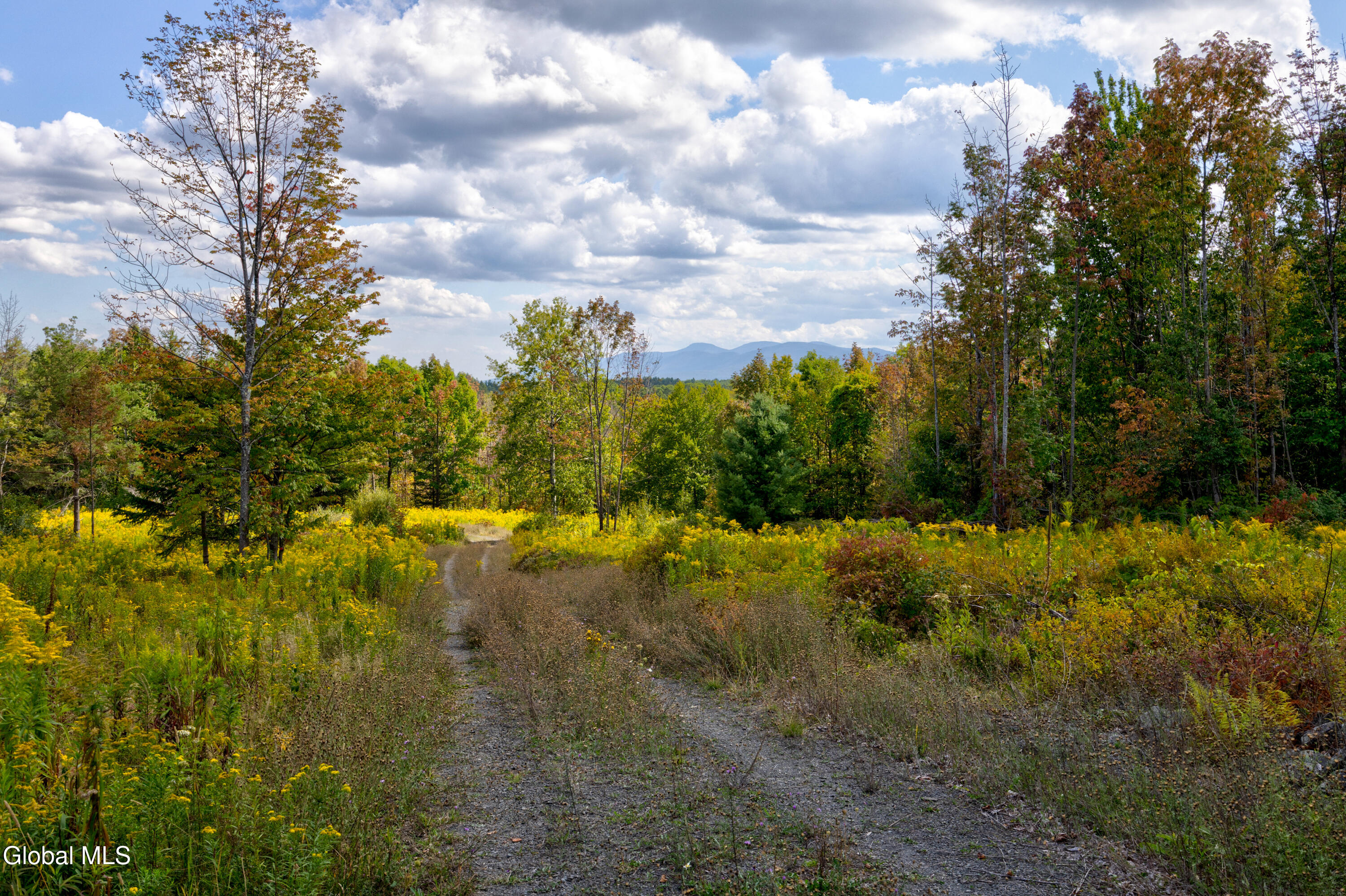 823 Cheese Hill Road Rensselaerville, NY 12469 - Photo 24 of 44 1 (26)