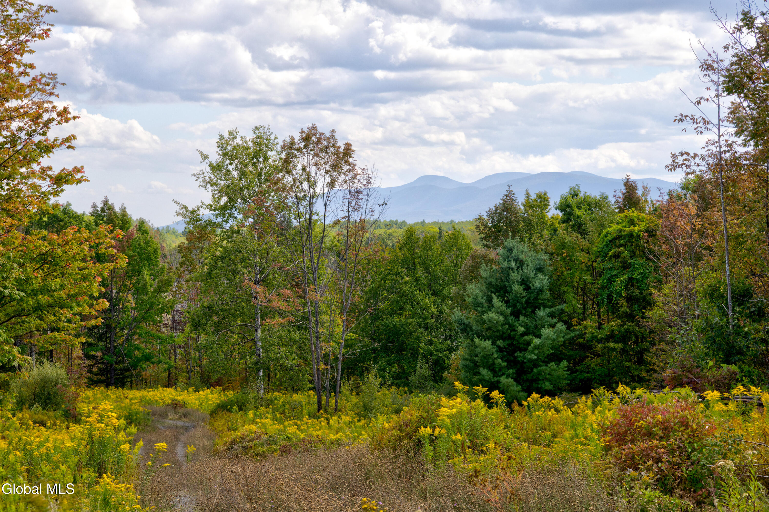 823 Cheese Hill Road Rensselaerville, NY 12469 - Photo 25 of 44 1 (27)