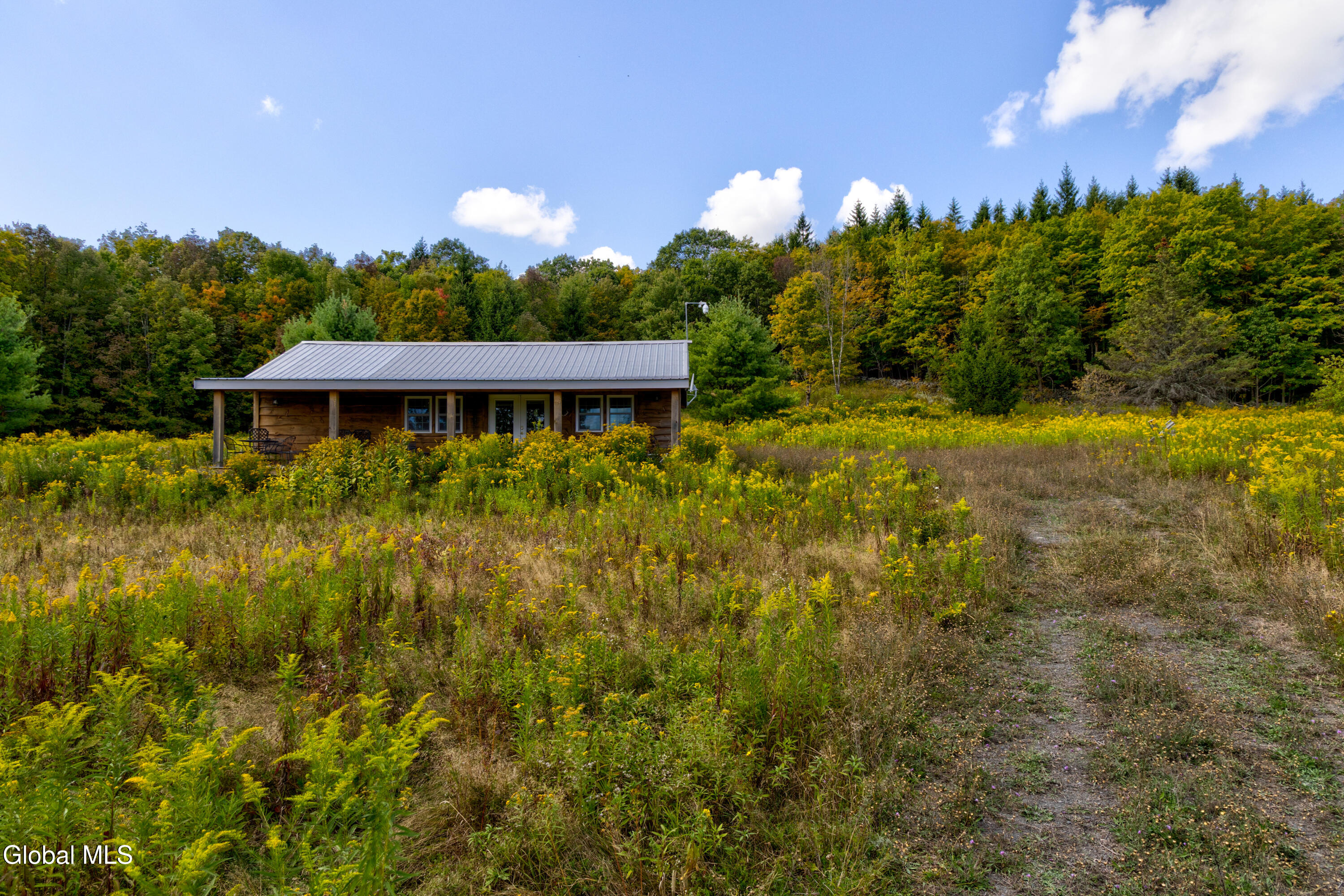 823 Cheese Hill Road Rensselaerville, NY 12469 - Photo 26 of 44 1 (28)