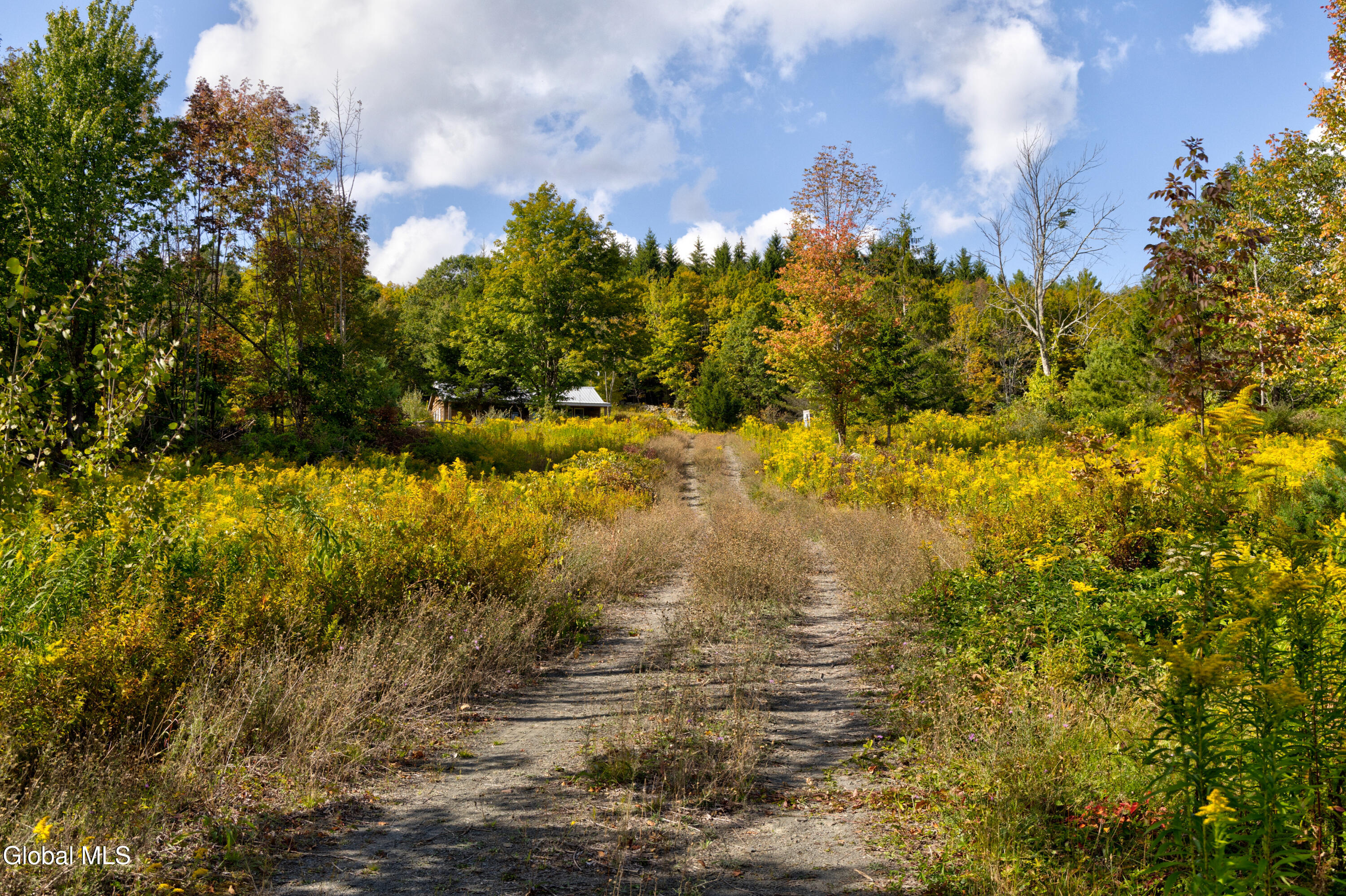 823 Cheese Hill Road Rensselaerville, NY 12469 - Photo 28 of 44 1 (30)
