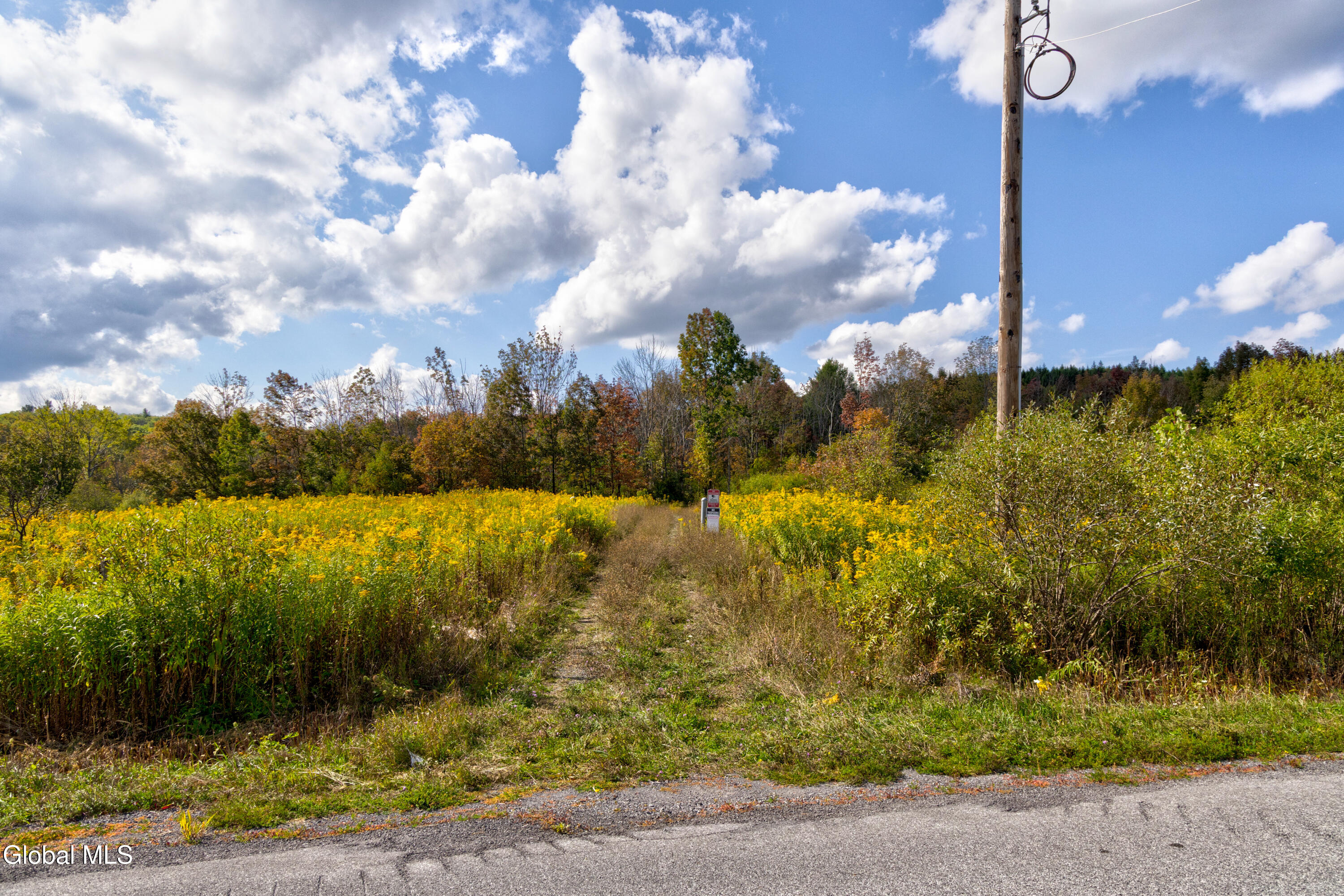 823 Cheese Hill Road Rensselaerville, NY 12469 - Photo 32 of 44 1 (34)