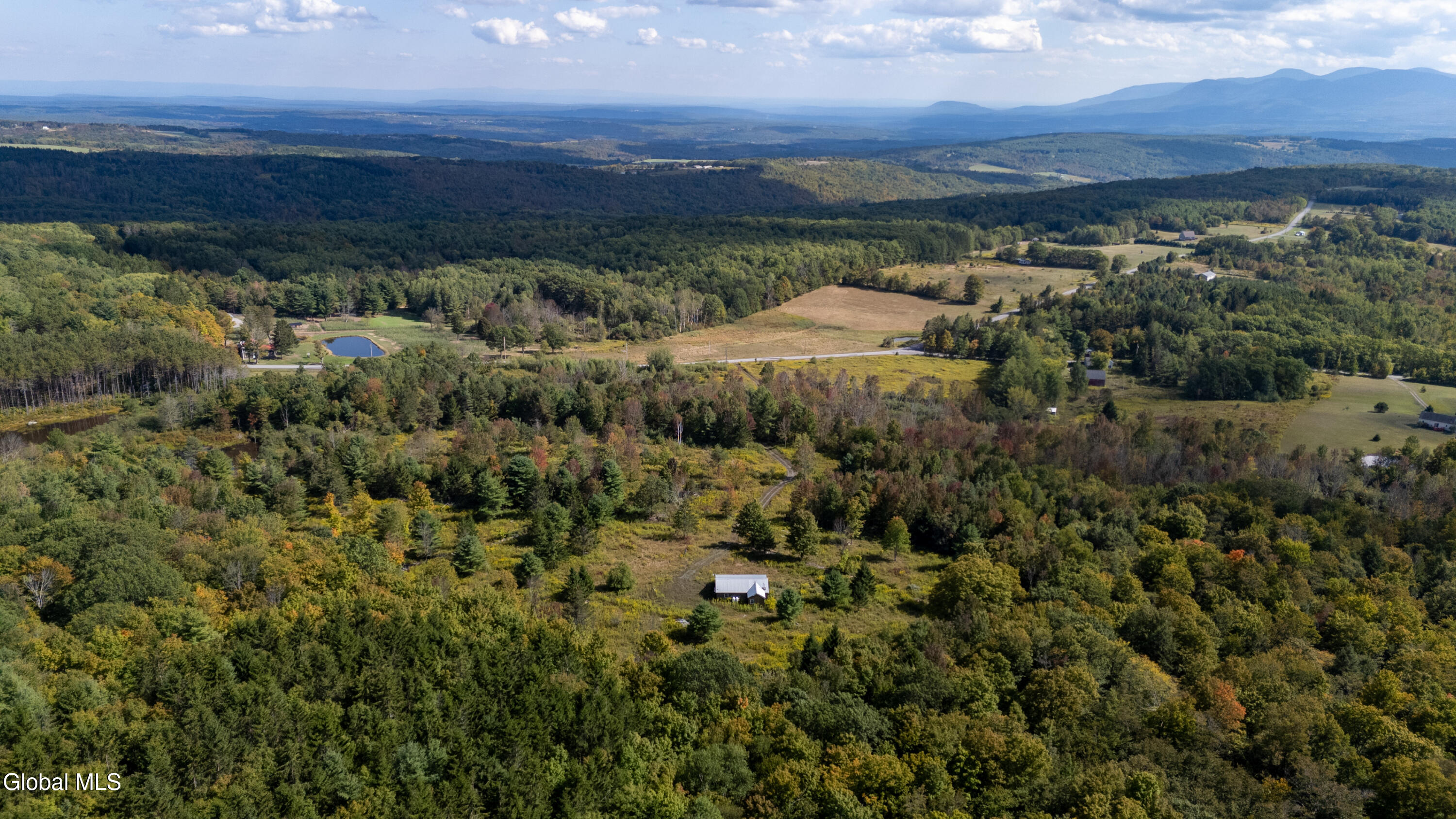 823 Cheese Hill Road Rensselaerville, NY 12469 - Photo 34 of 44 1 (36)