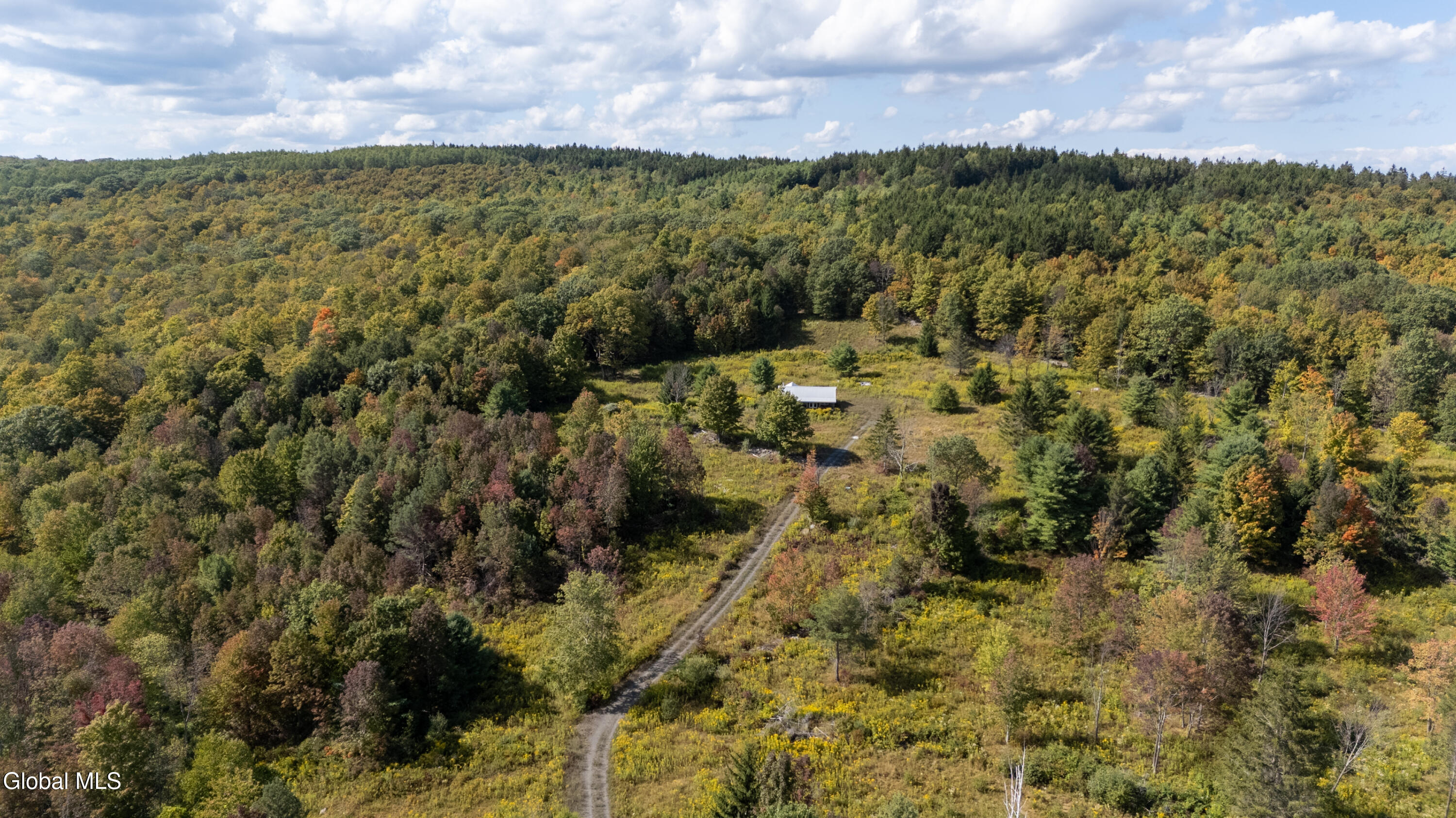 823 Cheese Hill Road Rensselaerville, NY 12469 - Photo 38 of 44 1 (40)