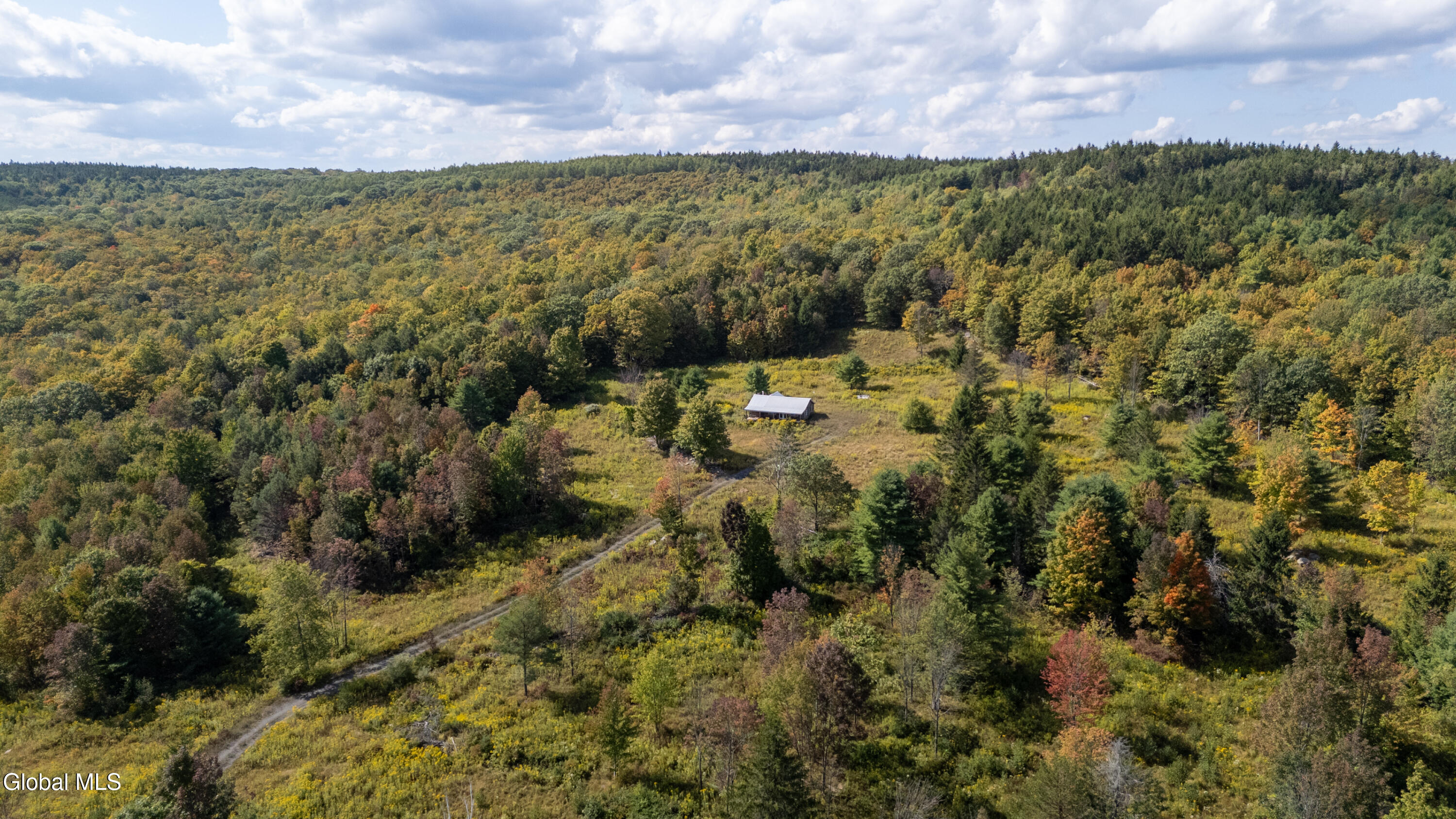 823 Cheese Hill Road Rensselaerville, NY 12469 - Photo 39 of 44 1 (41)