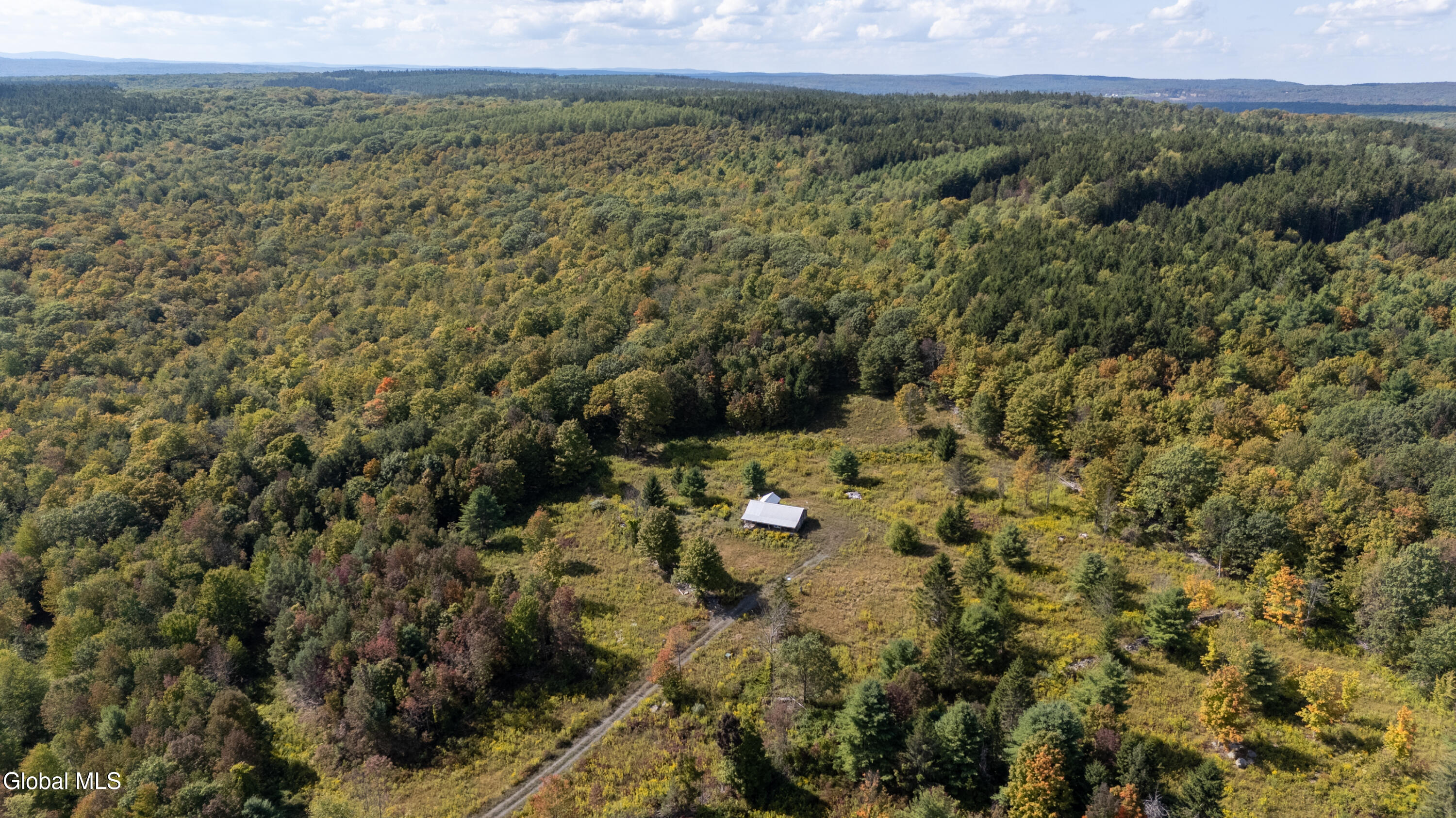 823 Cheese Hill Road Rensselaerville, NY 12469 - Photo 40 of 44 1 (42)