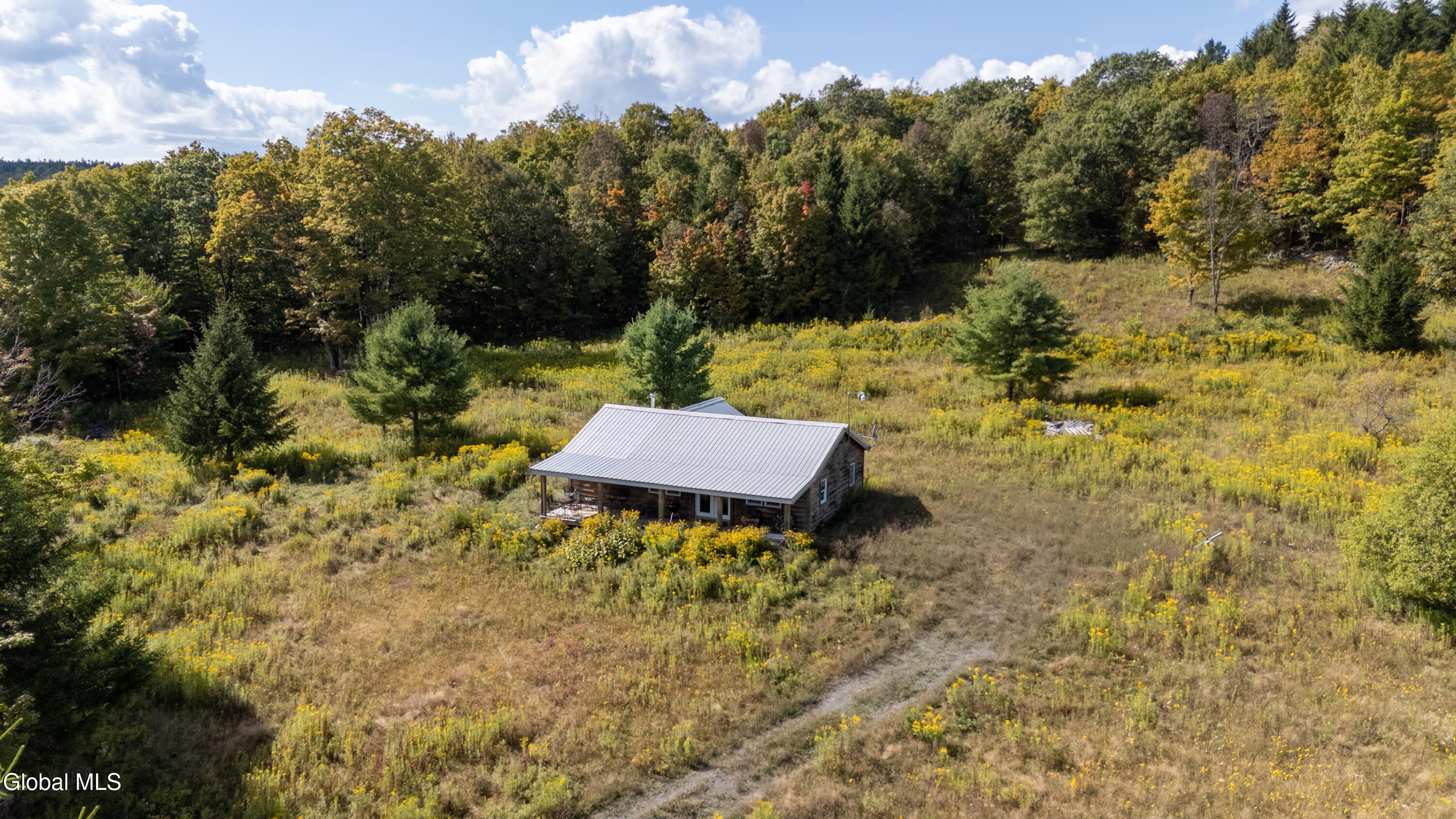 823 Cheese Hill Road Rensselaerville, NY 12469 - Photo 43 of 44 1 (46)