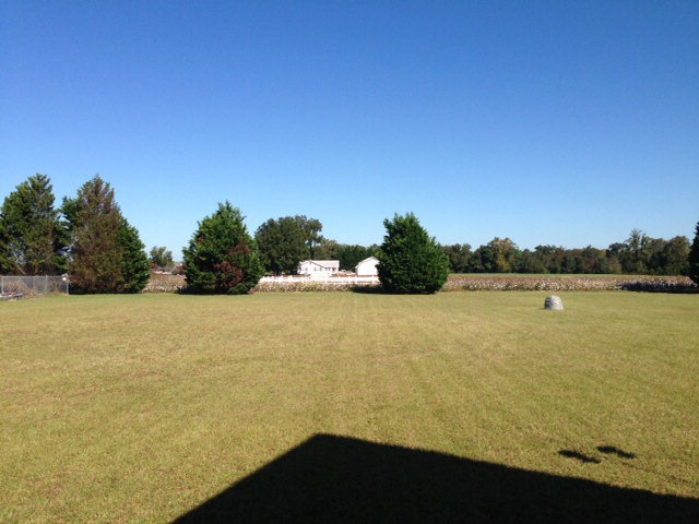 5024 Woodrow Road Sims, NC 27880 - Photo 4 of 9 Additional Photo
